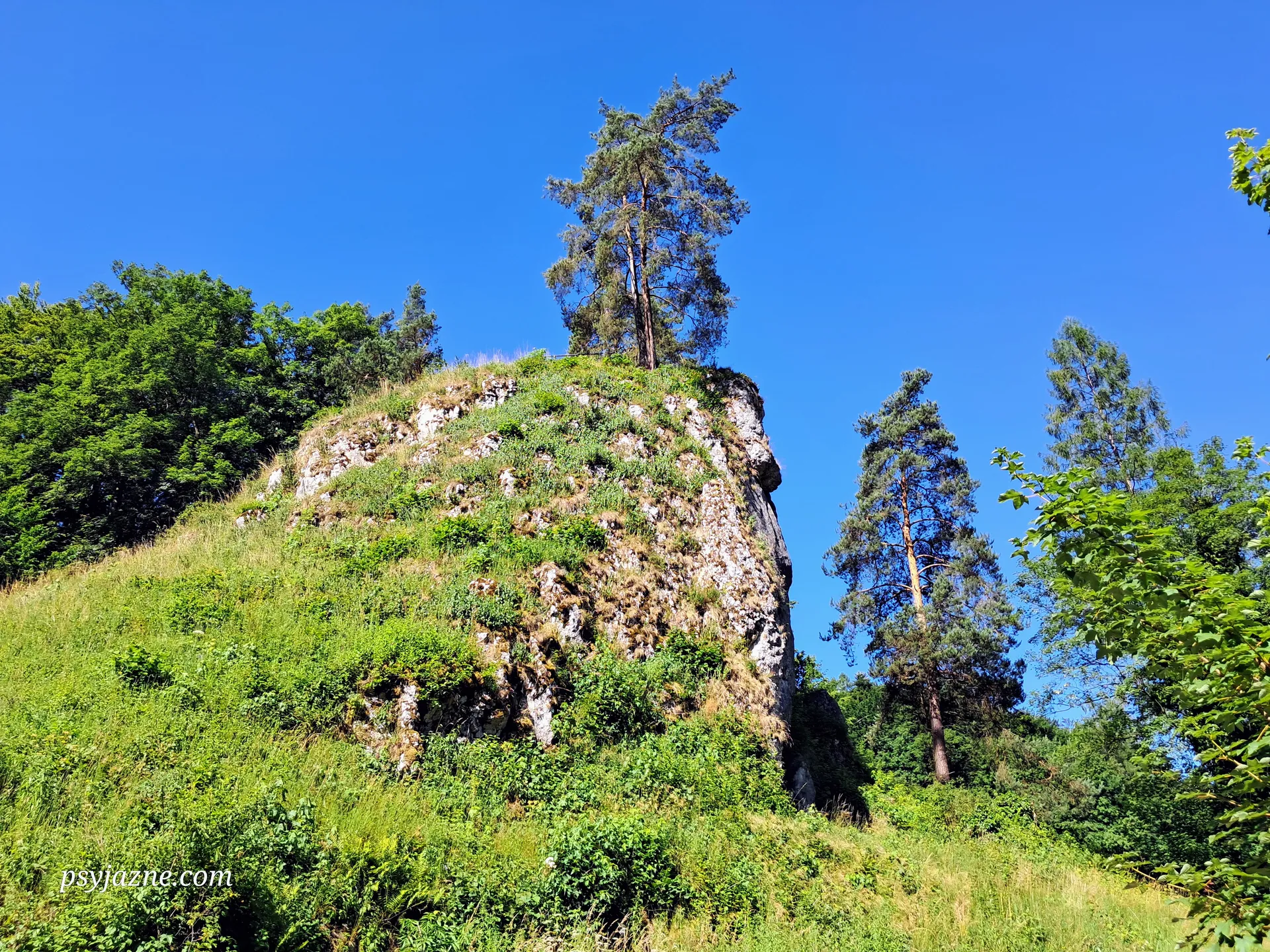 Jonaszówka