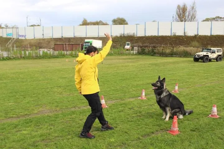 k 9 trening