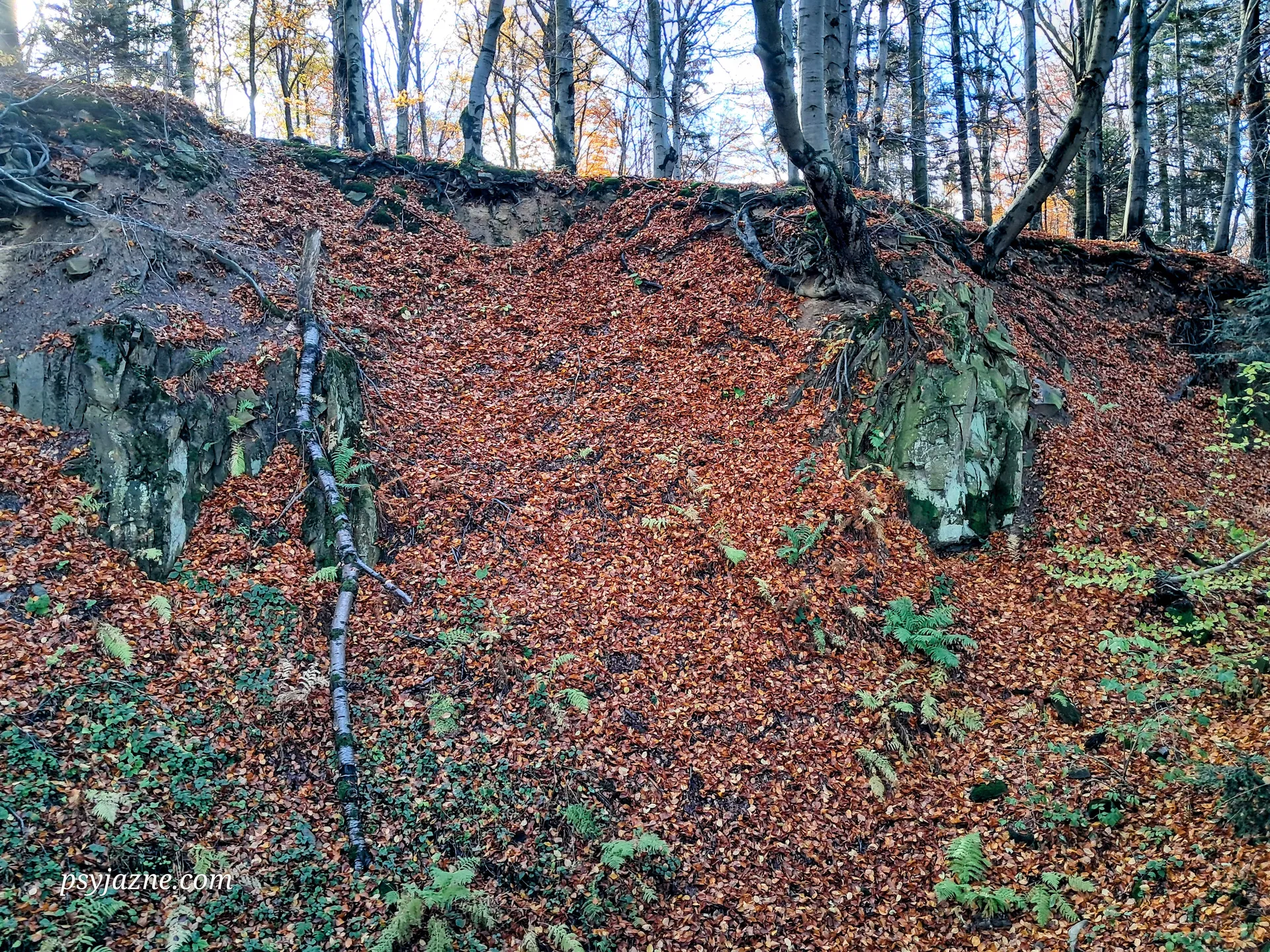 Stary kamieniołom na Kamienniku