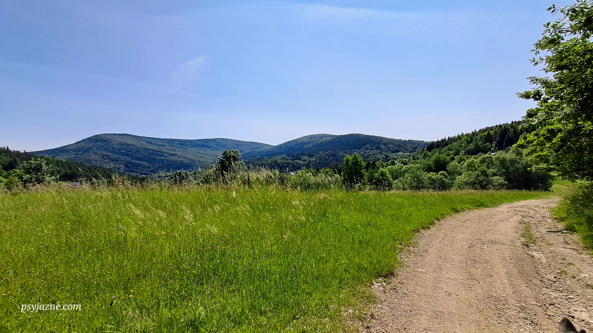 Widok na Kamiennik