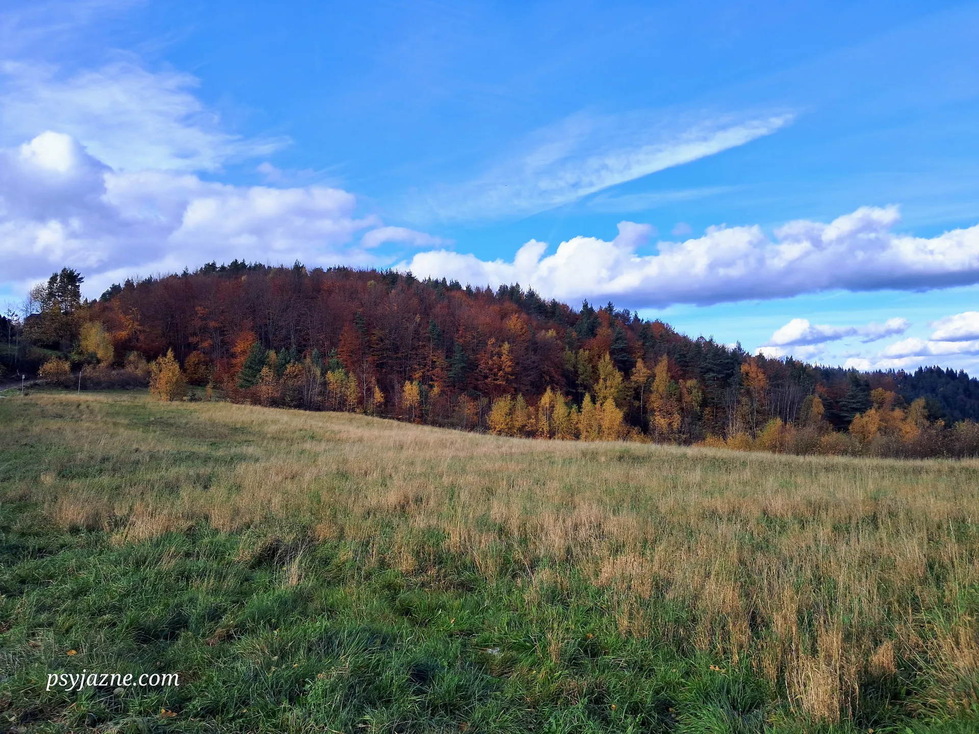 Widok na Kamiennik