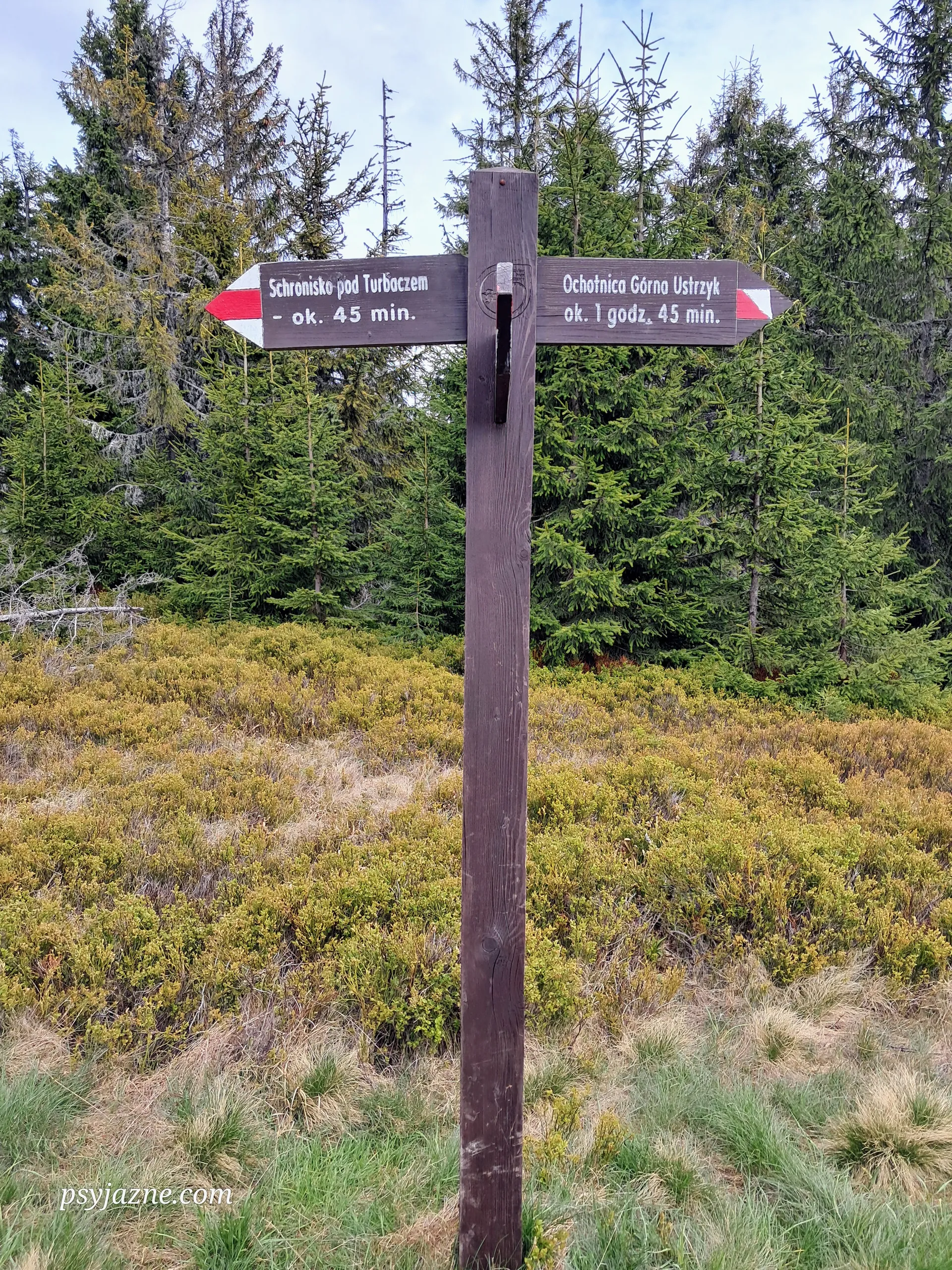 Kiczora, szlaki