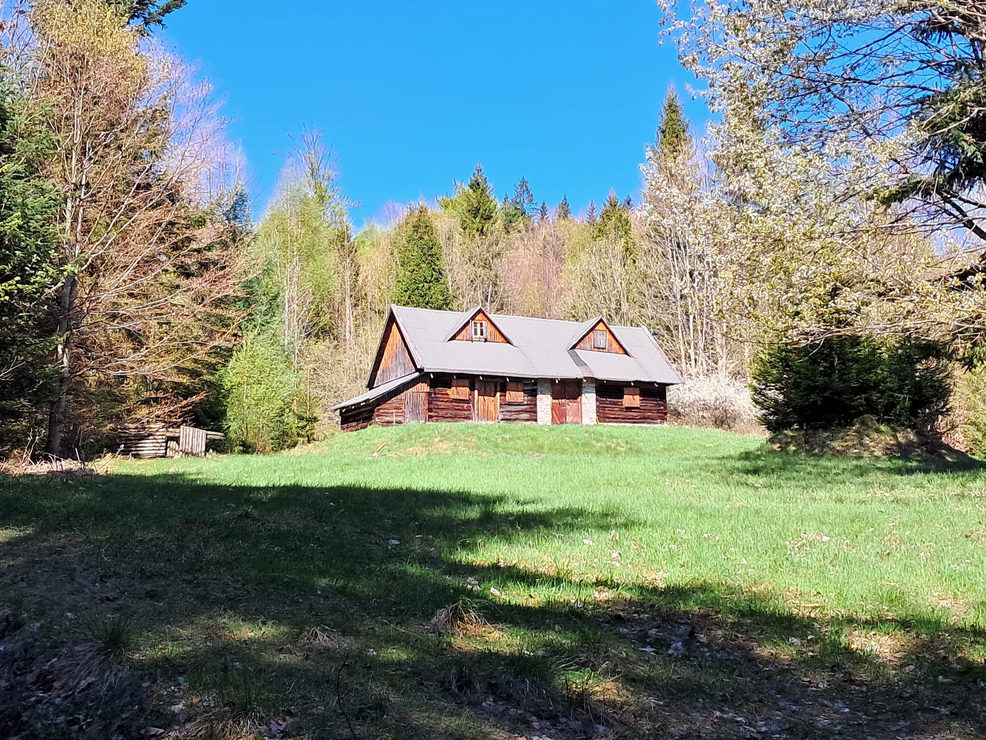 Korbielów - Hala Miziowa