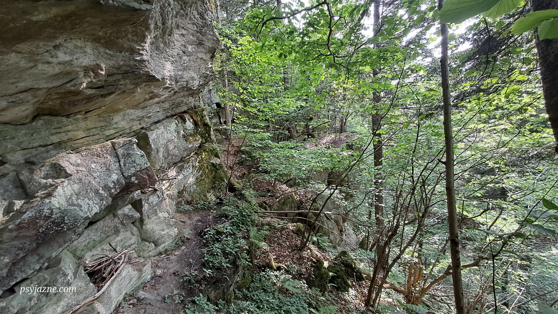 Kozie Skały, Beskid Mały