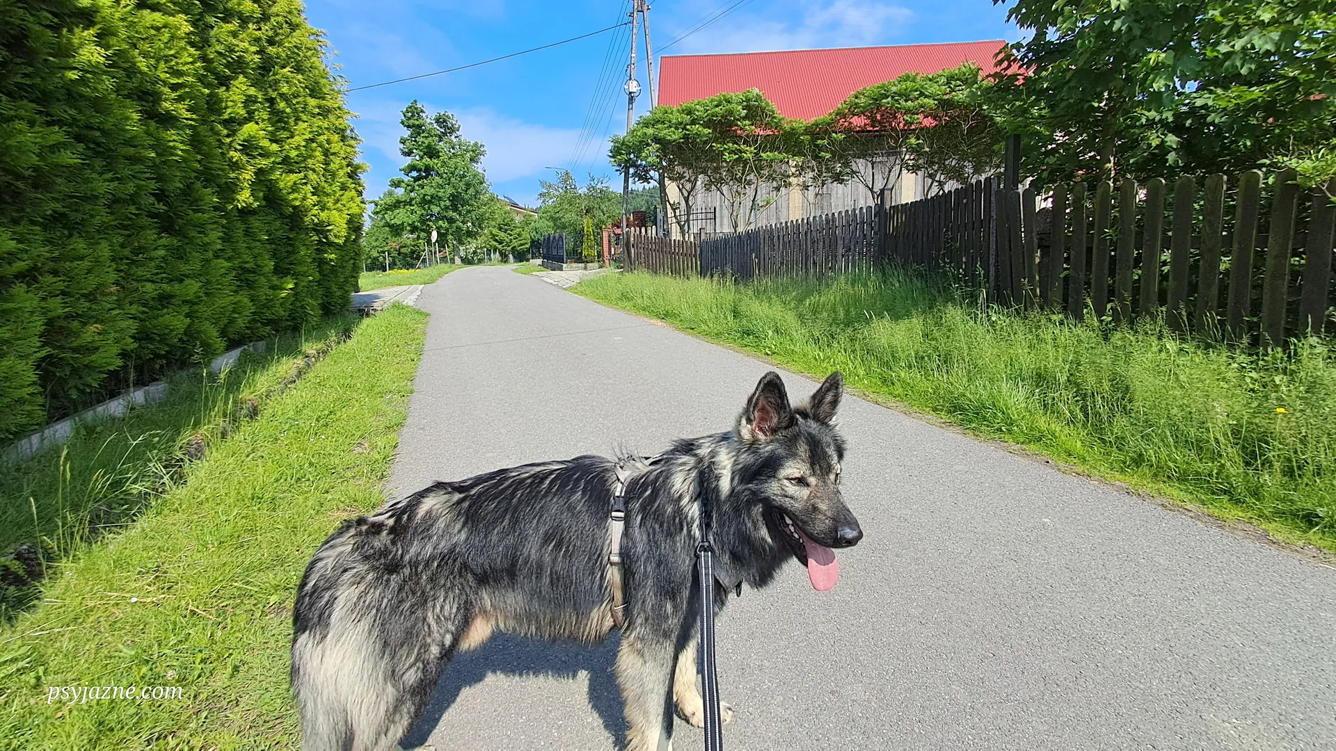 Krzeszów