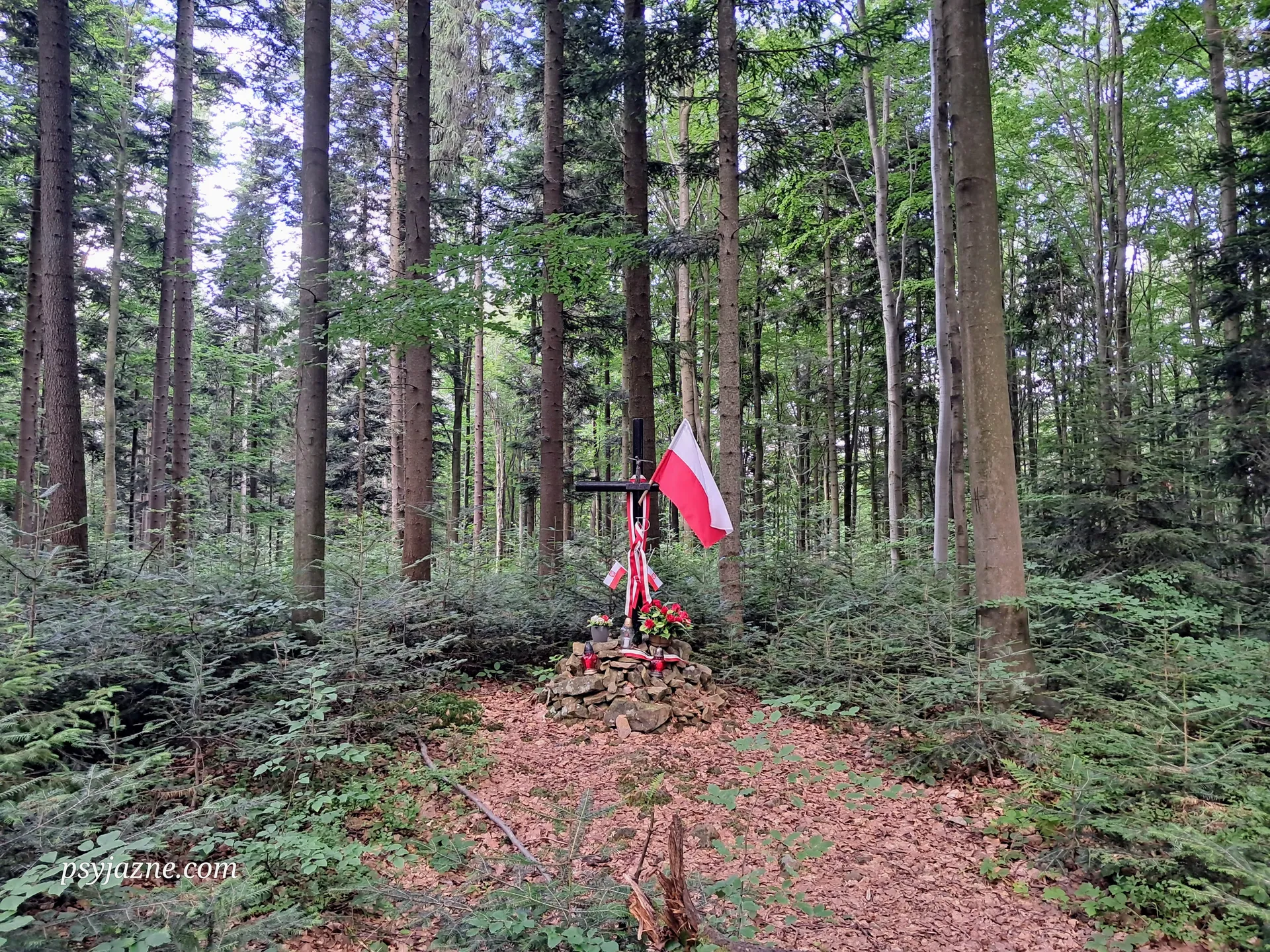 Krzyż AK Kotoń