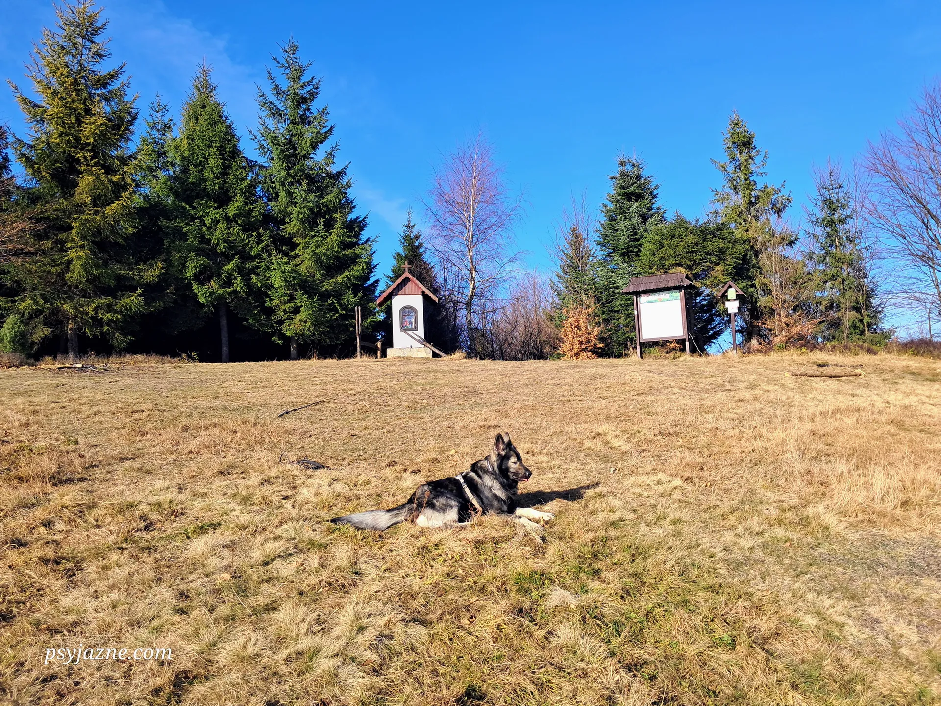 Kutrzyca, Beskid Wyspowy