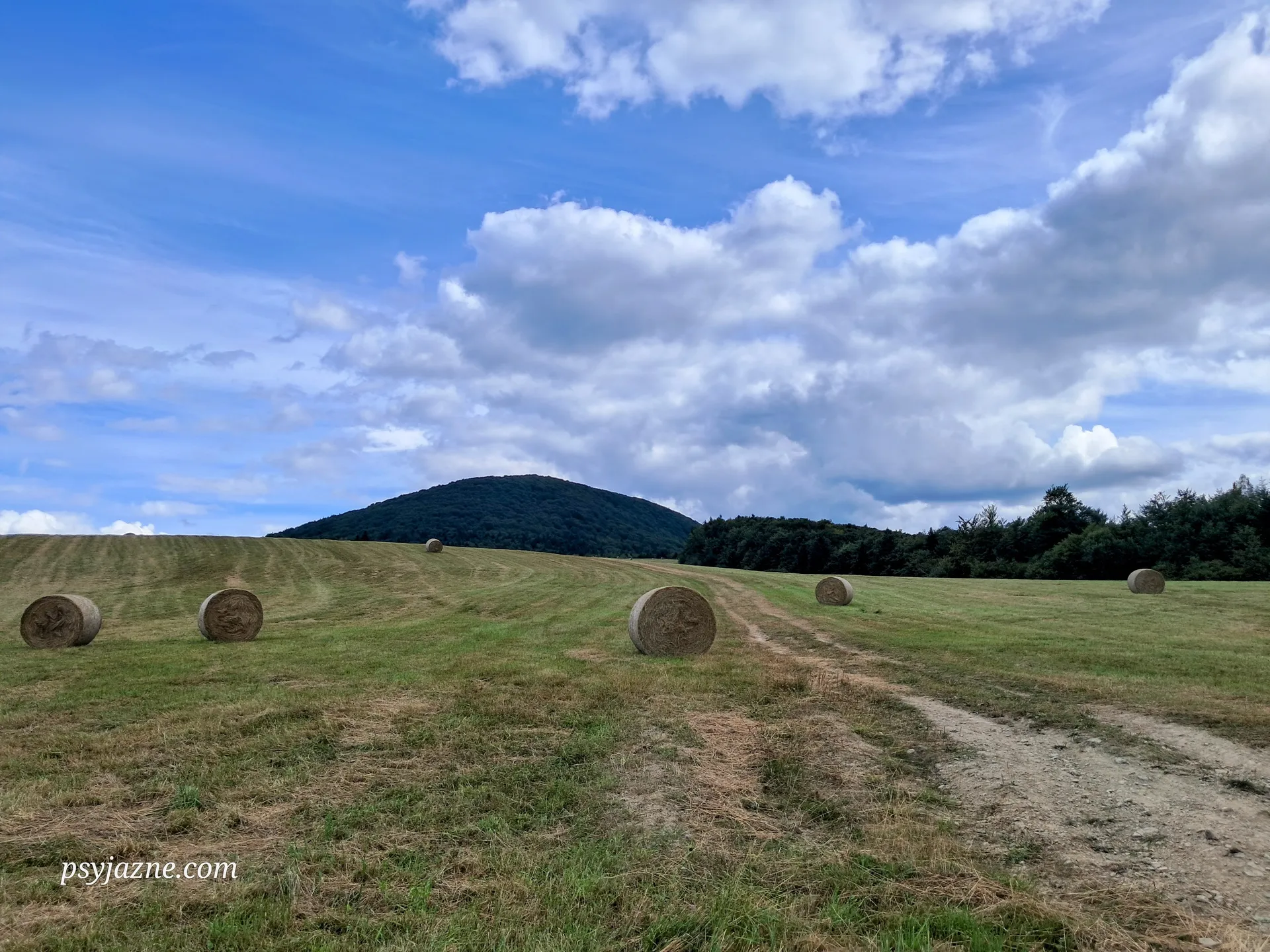 Widok na Lackową