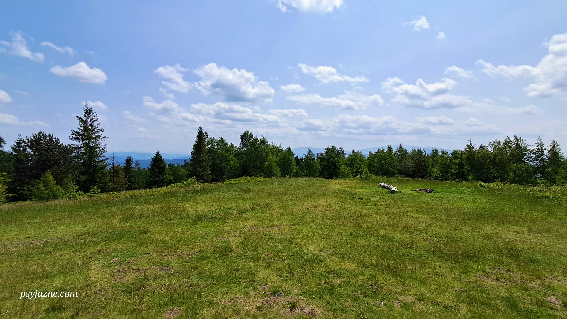Widok z Leskowca