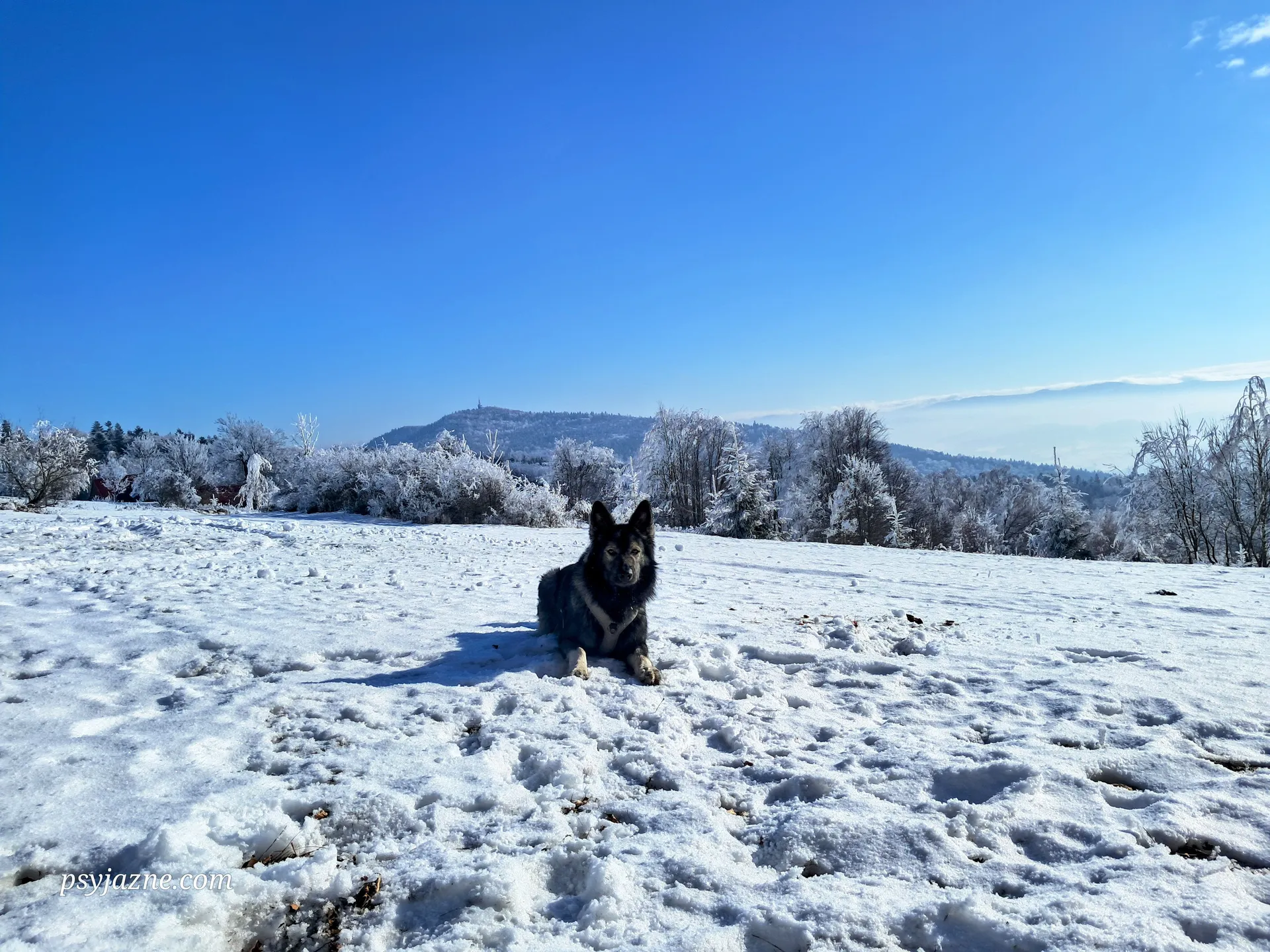 Luboń-Naprawa