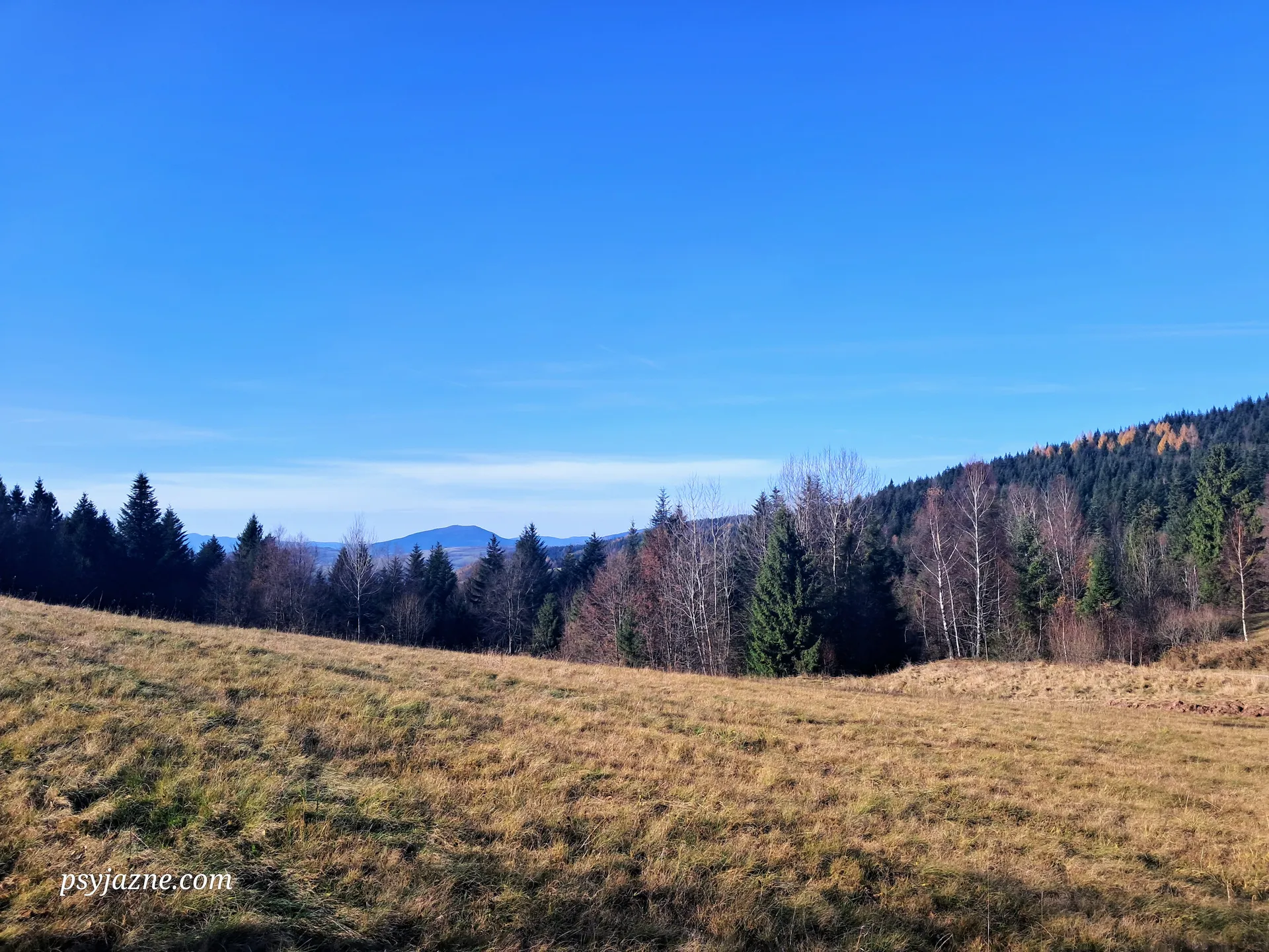 Widok na Luboń Wielki
