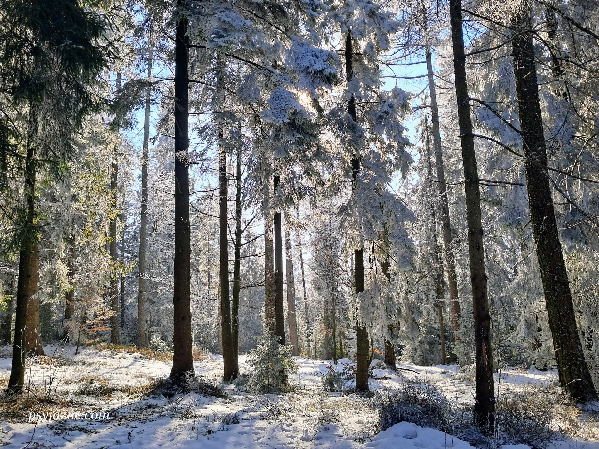 Luboń Mały zimą