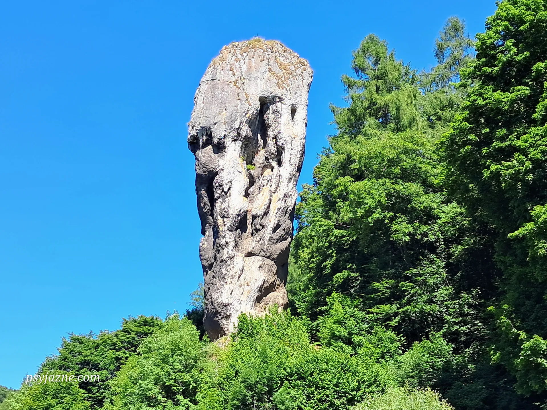 Maczuga Herkulesa, Ojcowski Park Narodowy