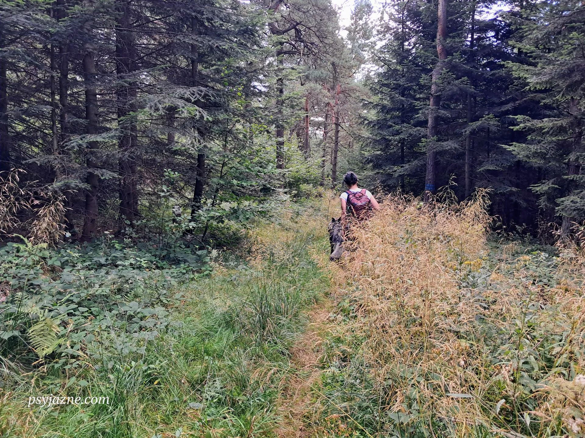 Magurycz Mała, Beskid Niski