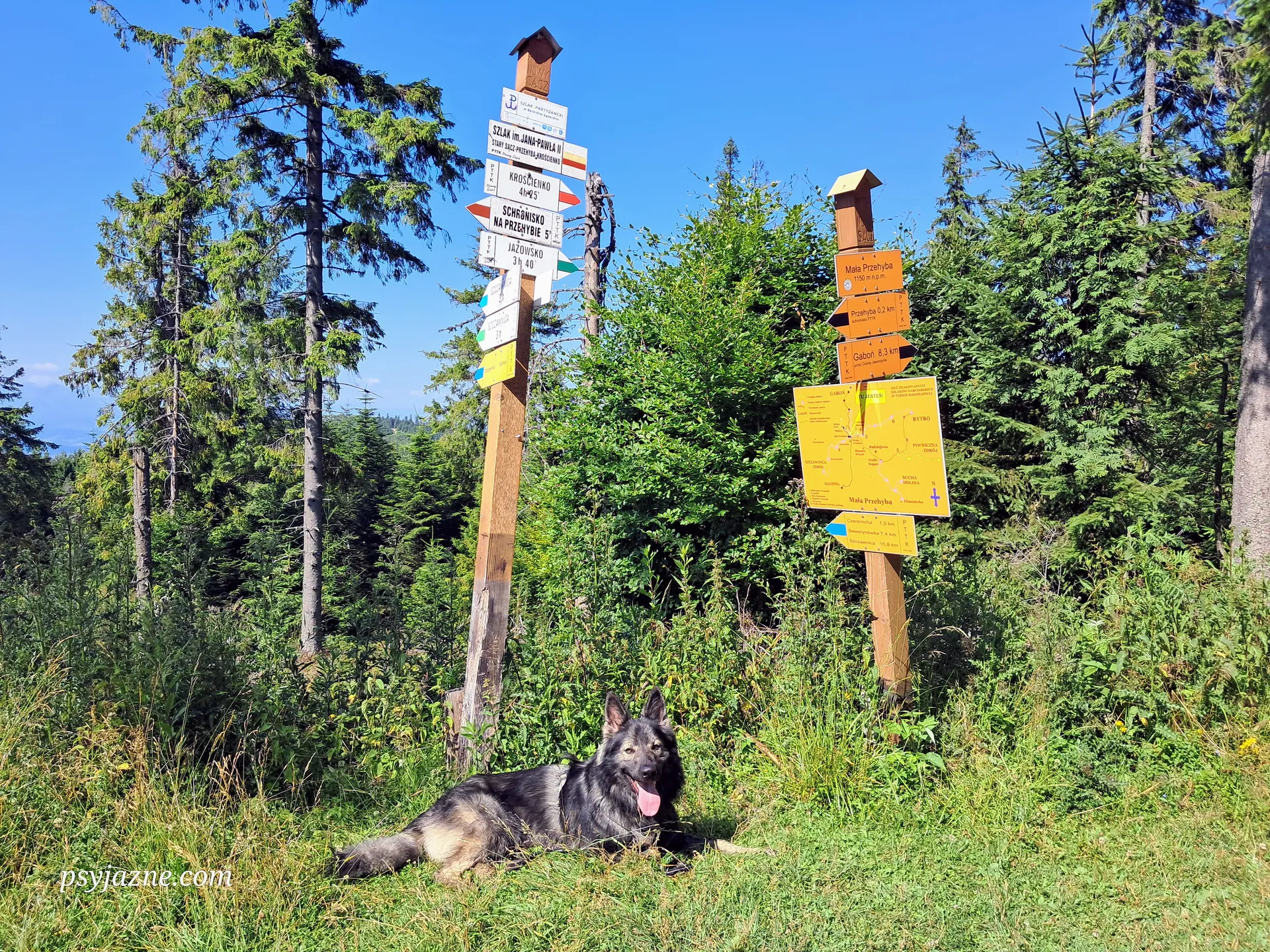 Mała Przehyba, Beskid Sądecki