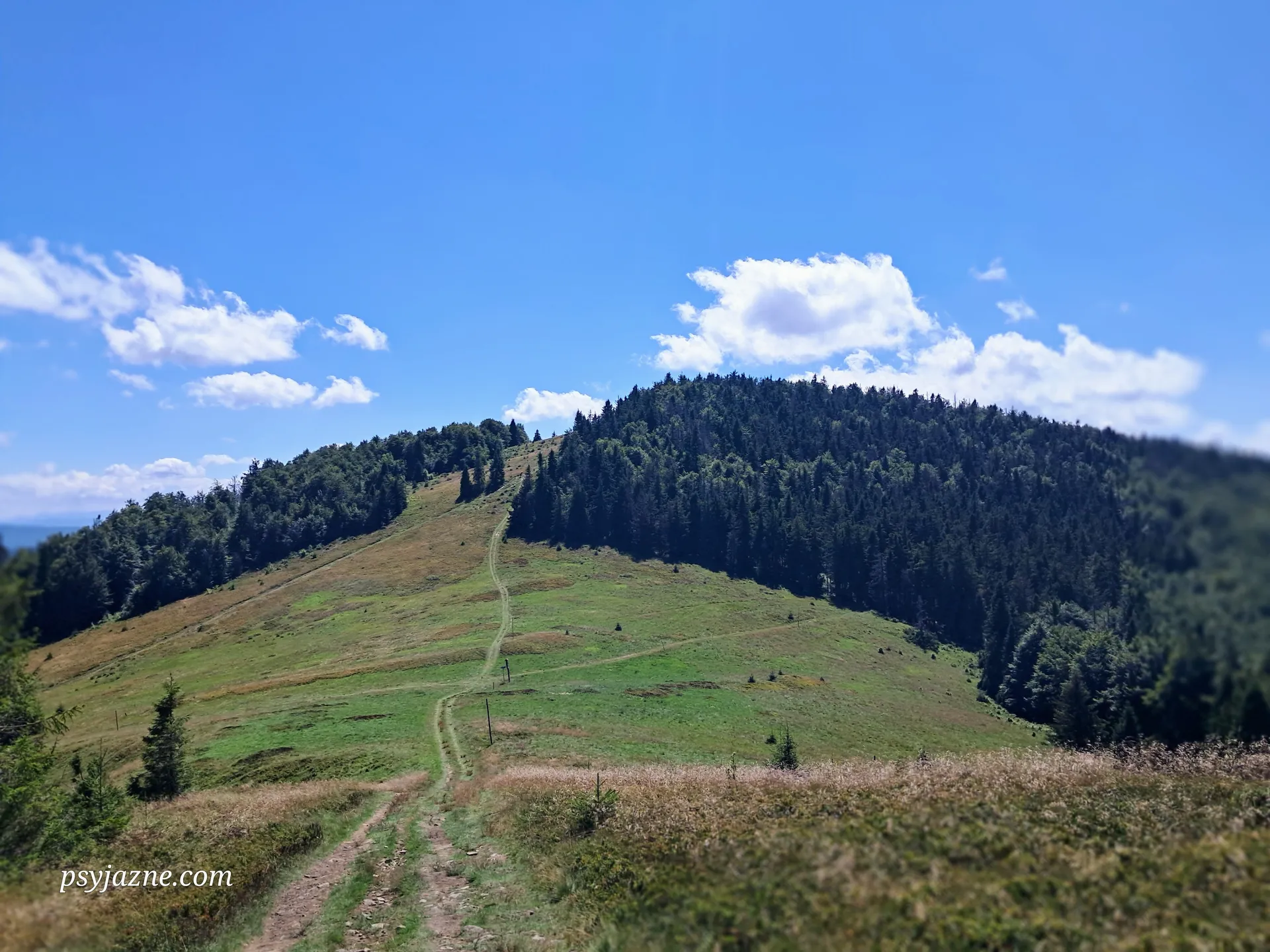 Widok z Małej Rycerzowej