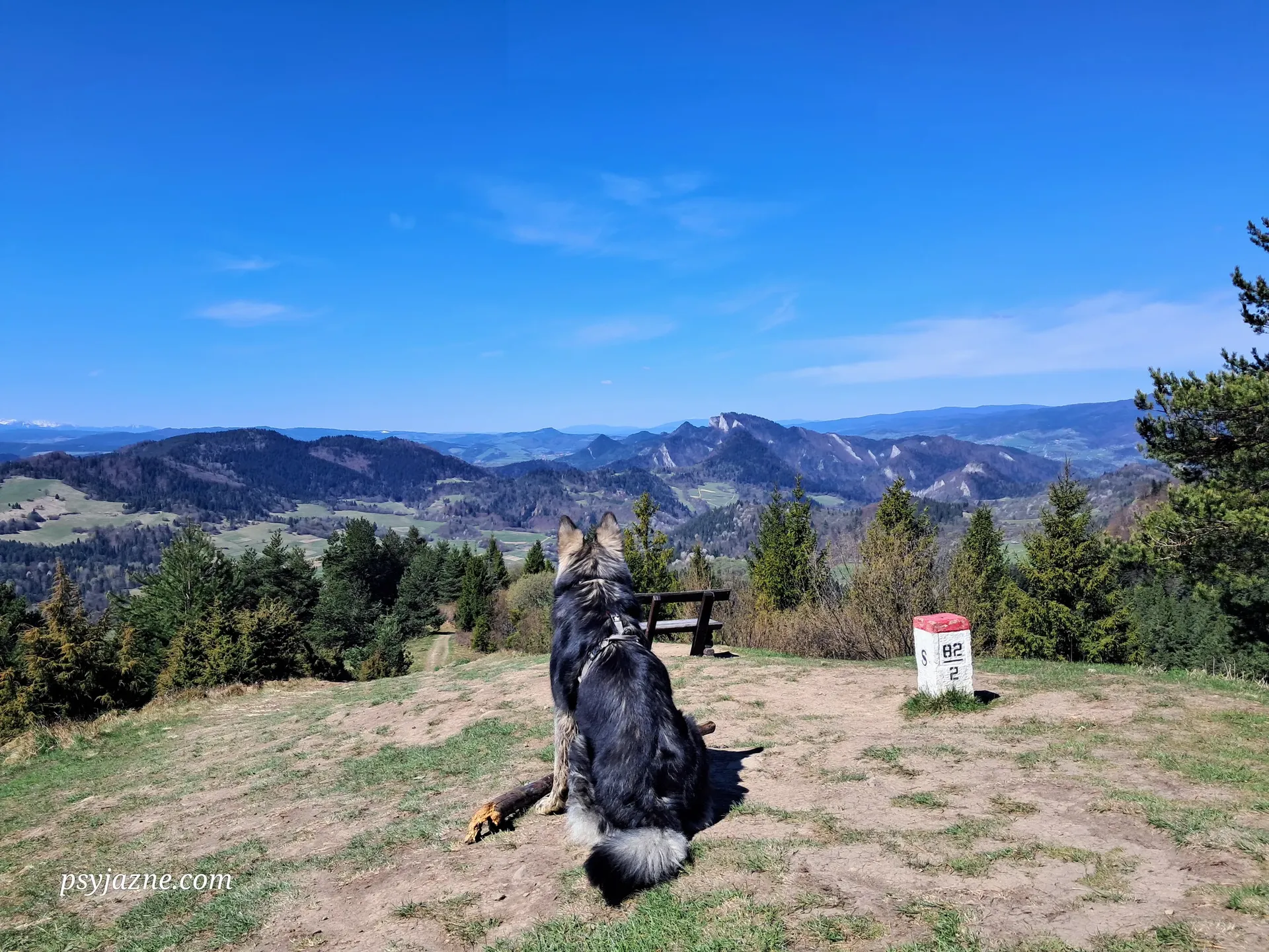 Małe Pieniny z psem, Wysoki Wierch