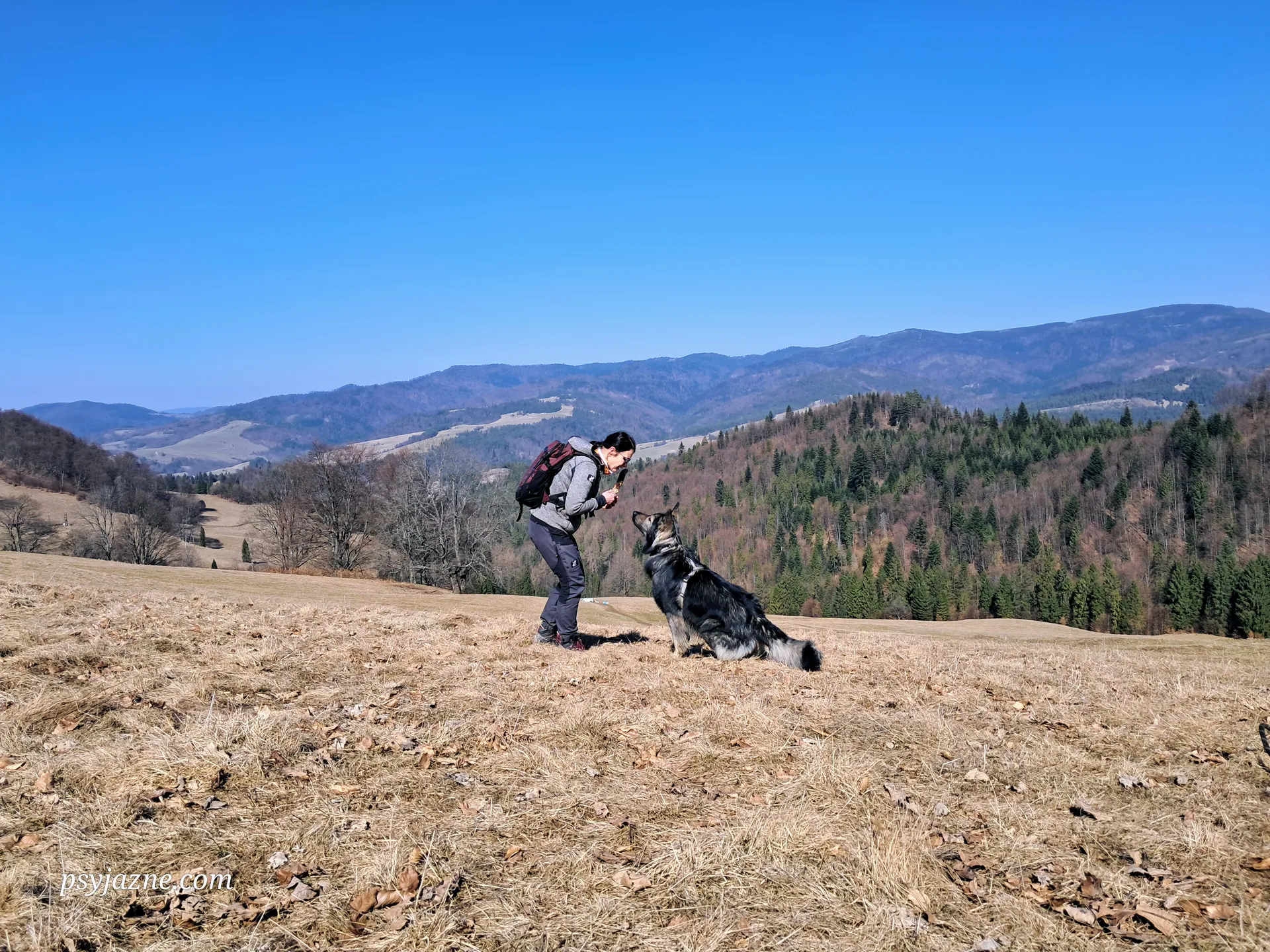 Małe Pieniny z psem