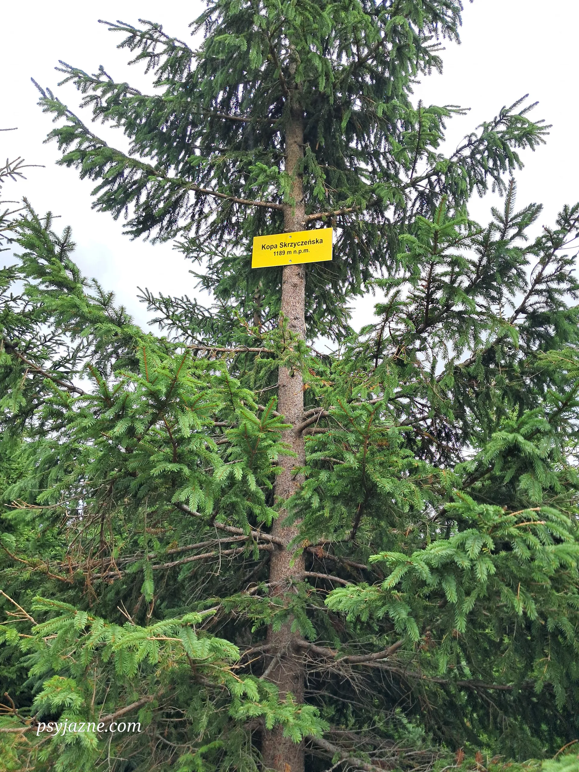 Małe Skrzyczne