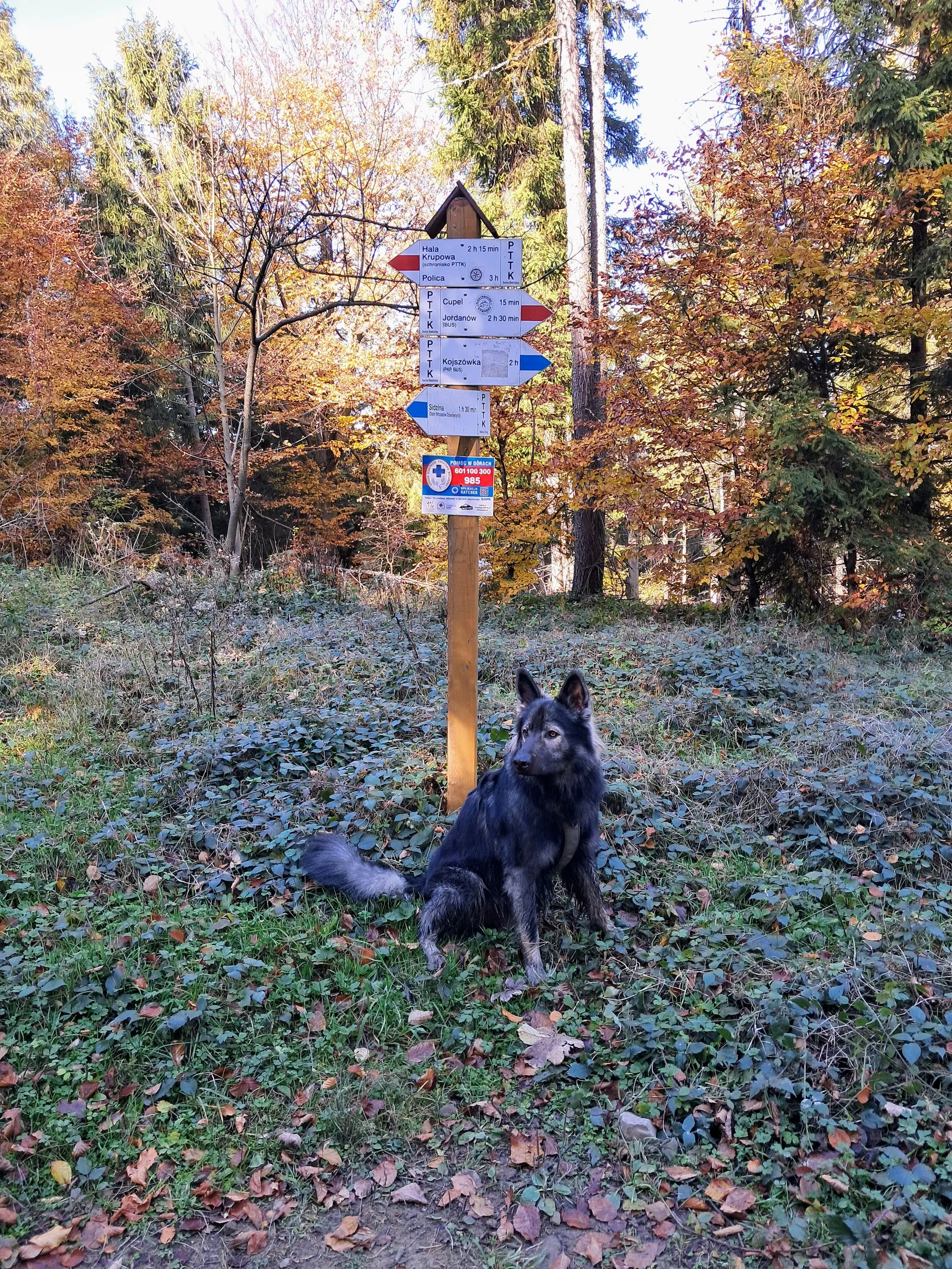 Przełęcz Malinowe