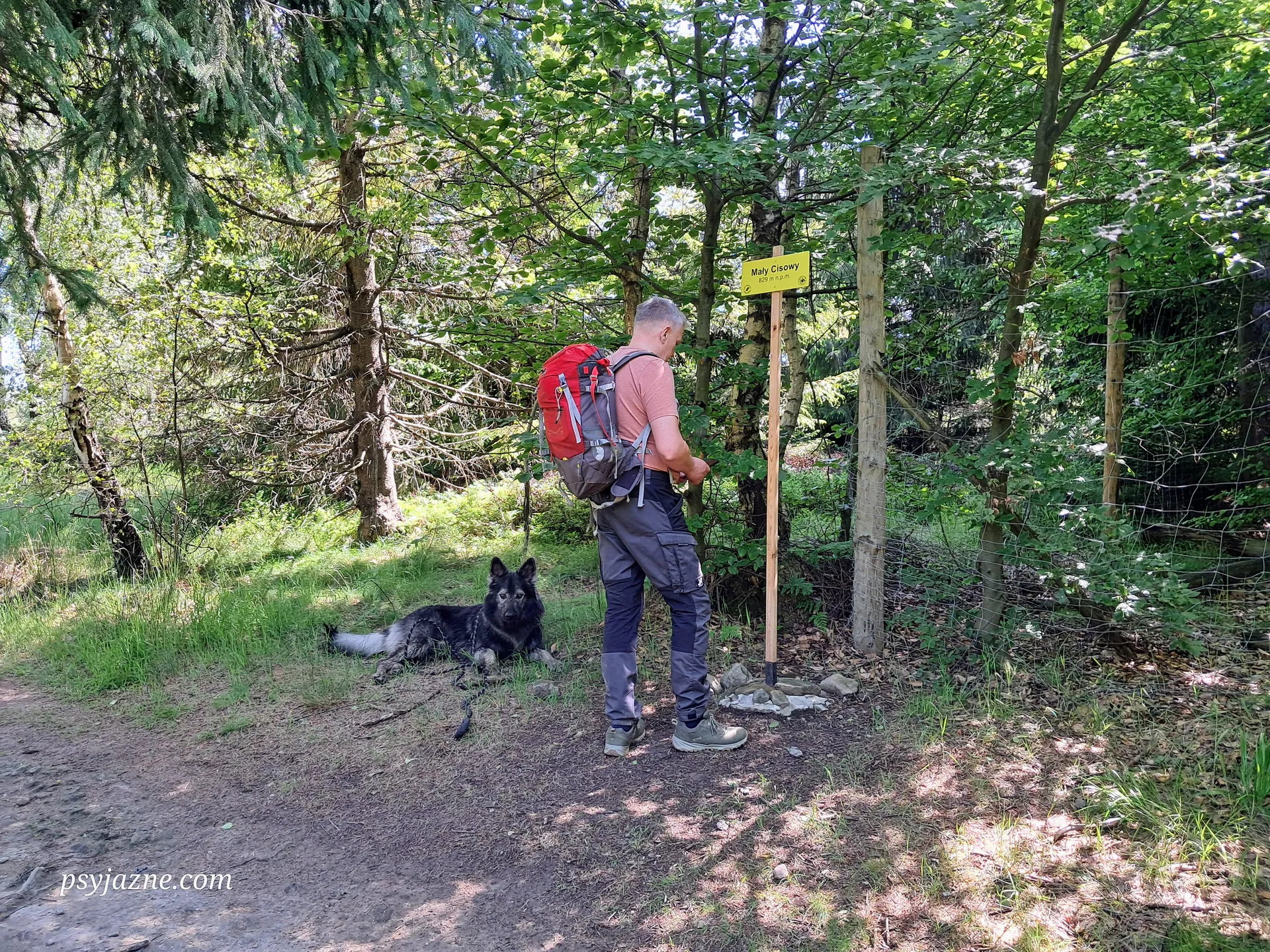 Mały Cisowy z psem, Beskid Śląski