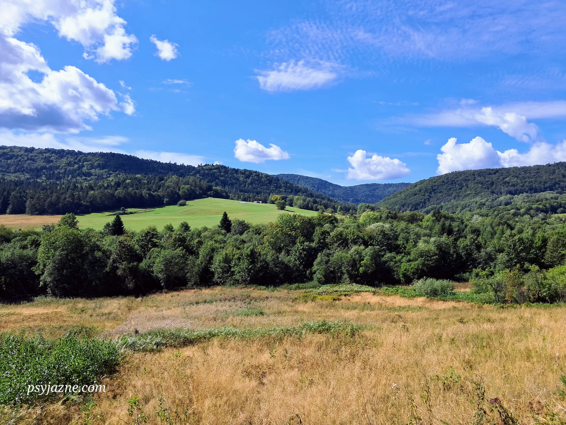 Masyw Bzianego, Beskid Niski