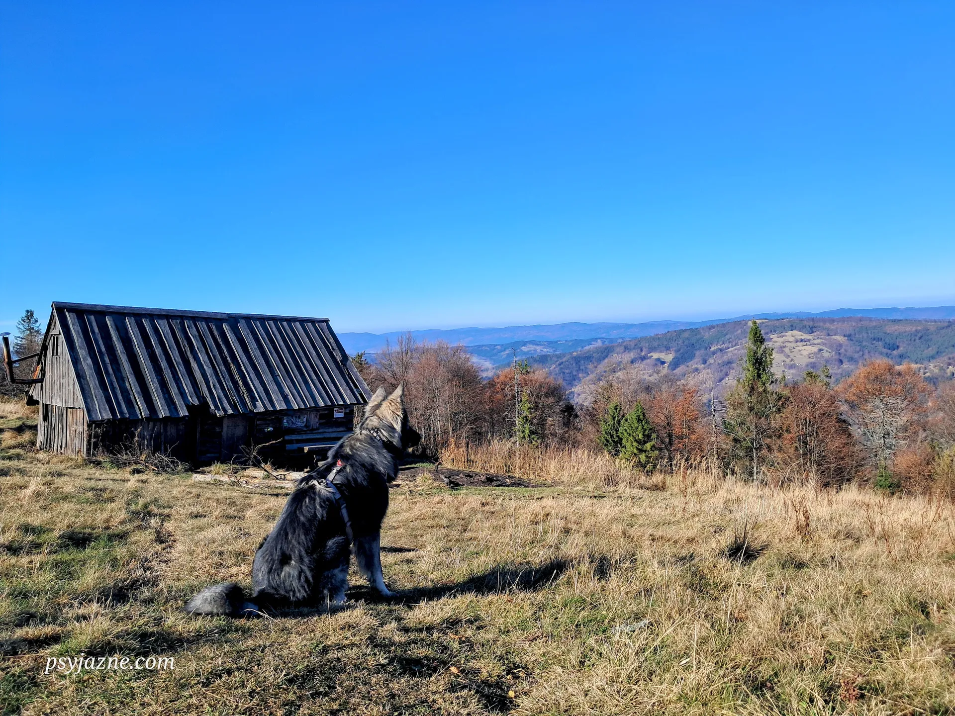 Mędralowa i Magurka, Beskid Makowski