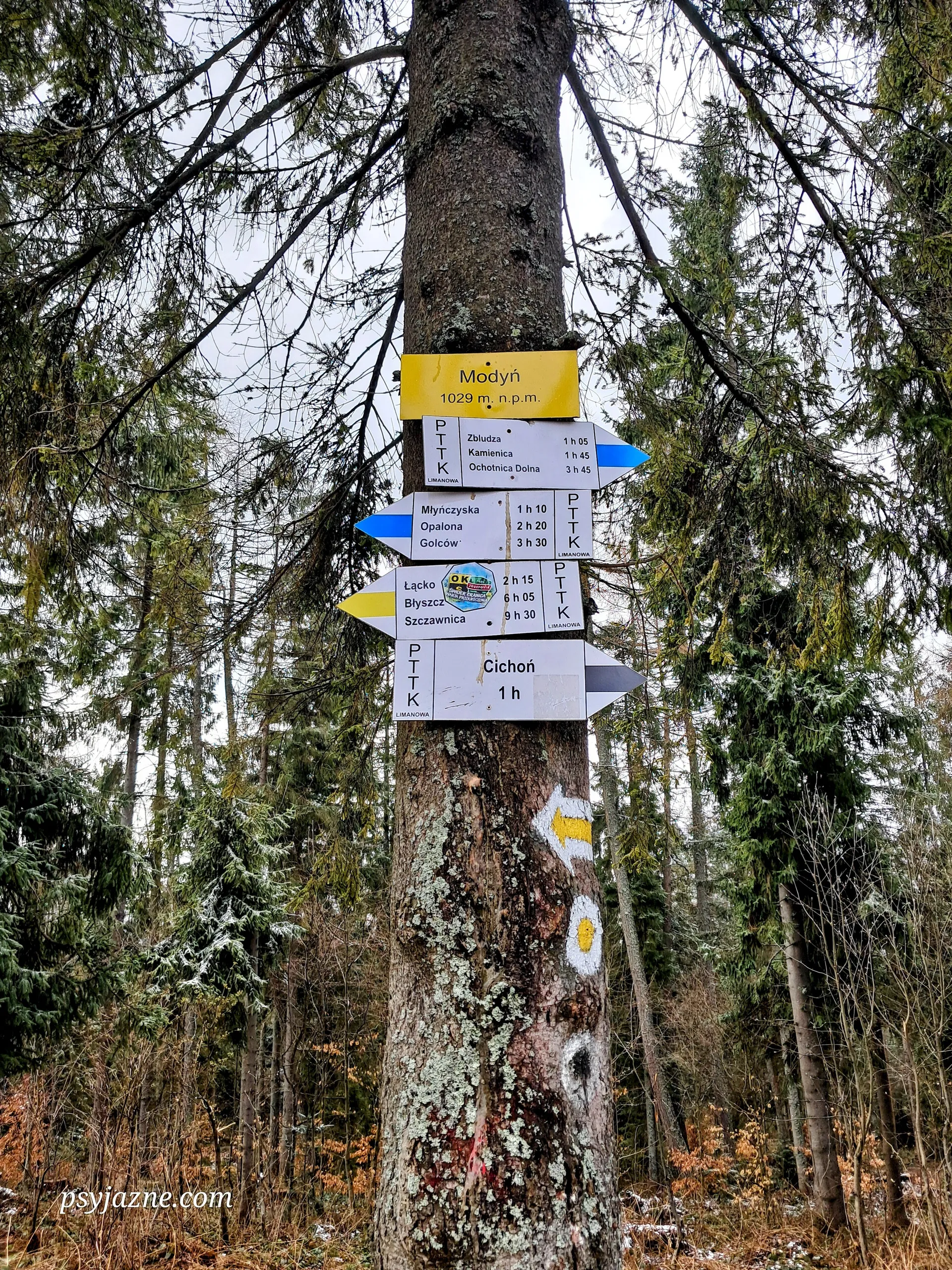 Modyń węzeł szlaków