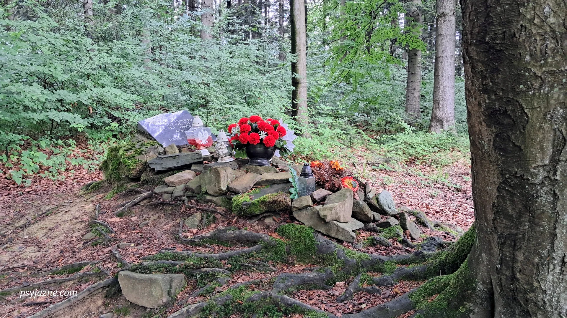 Mogiła żołnierzy AK