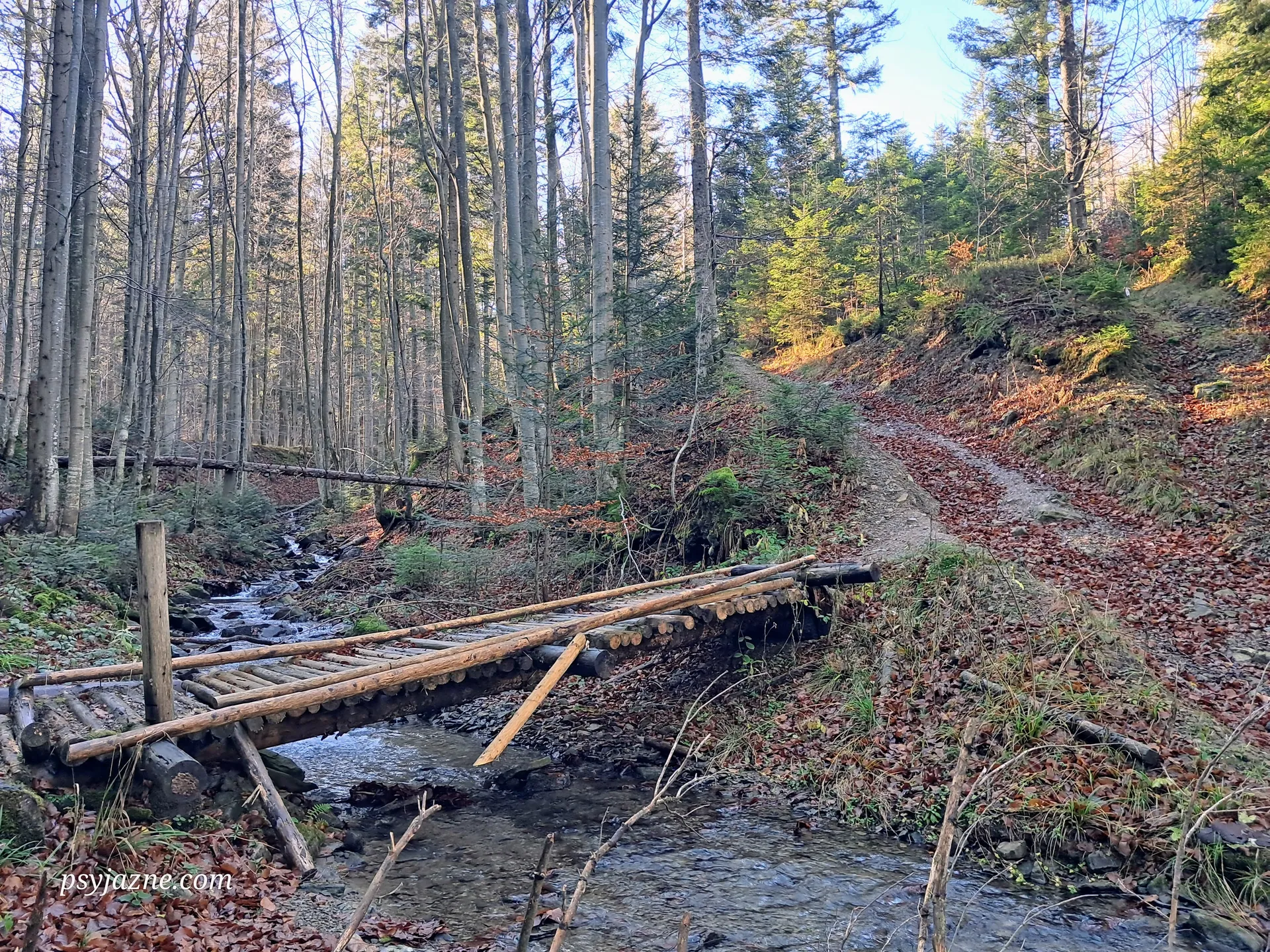 Mostek nad Jałowcem