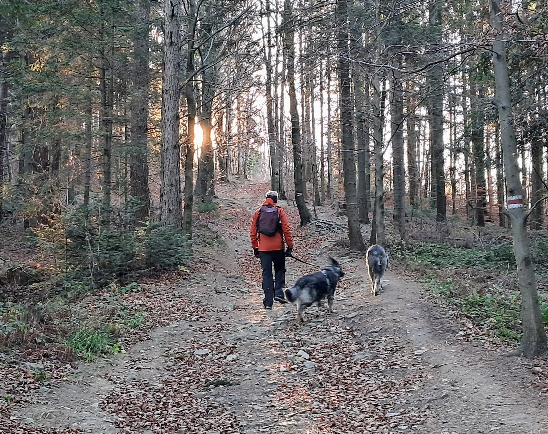 MSB Beskid Wyspowy