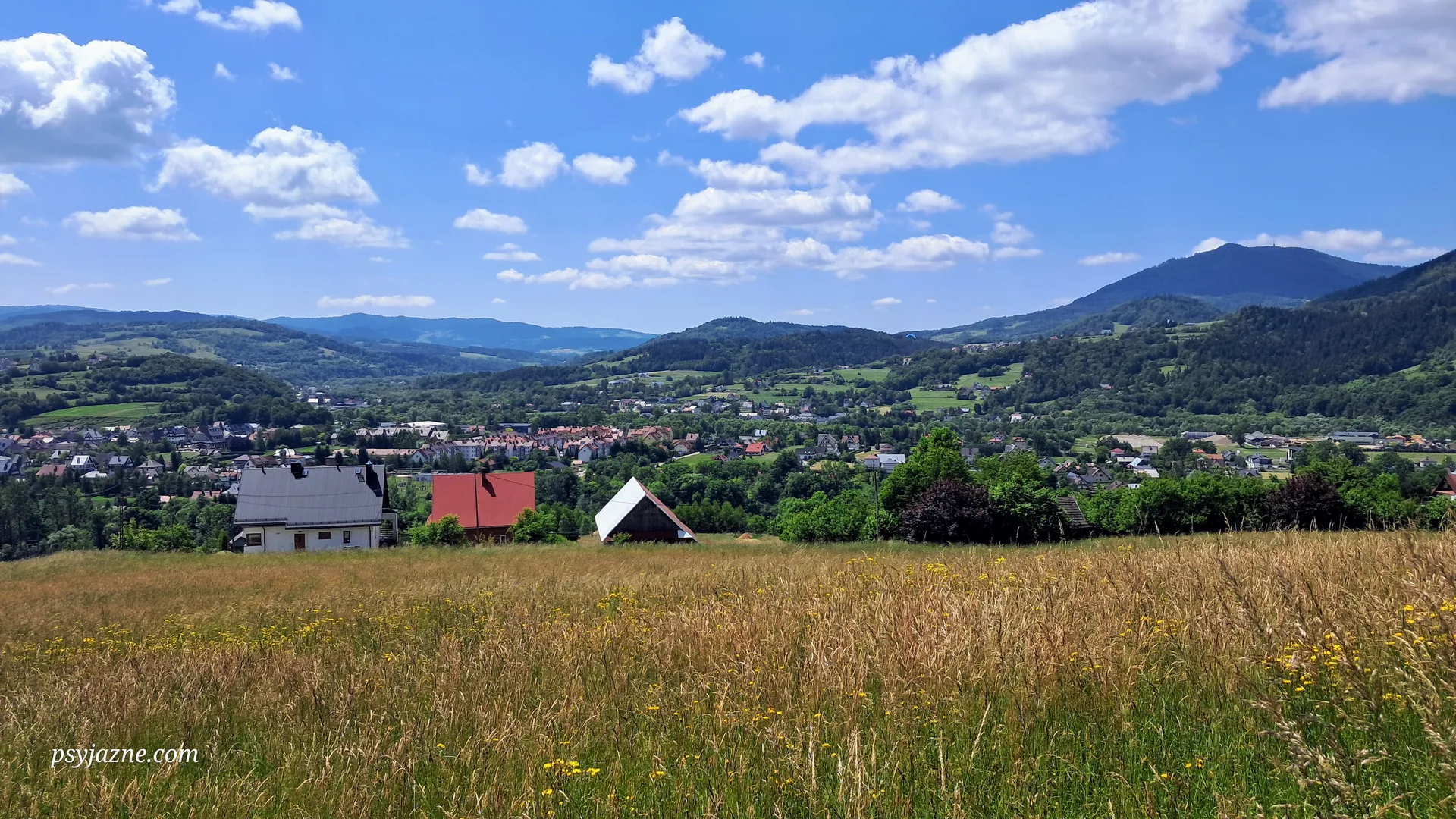 Mszana, Luboń Wielki