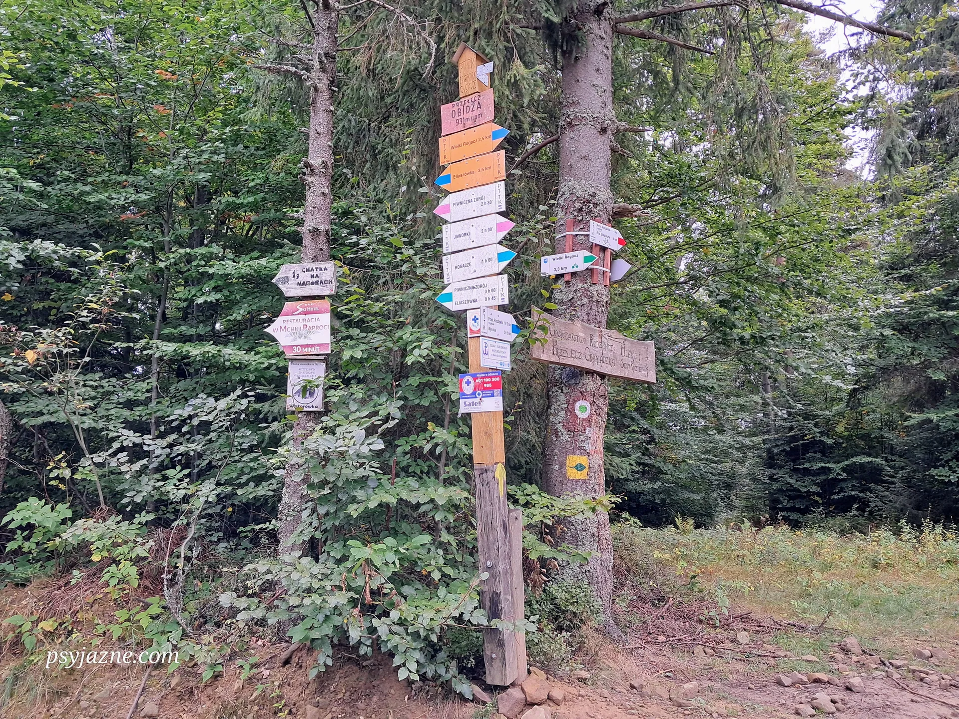 Węzeł szlaków na Obidzy