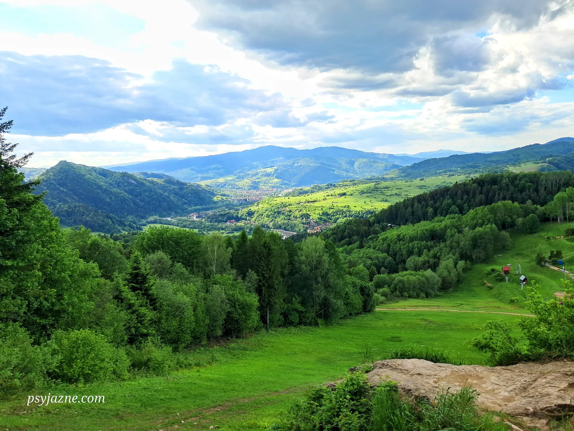 Widok z Palenicy