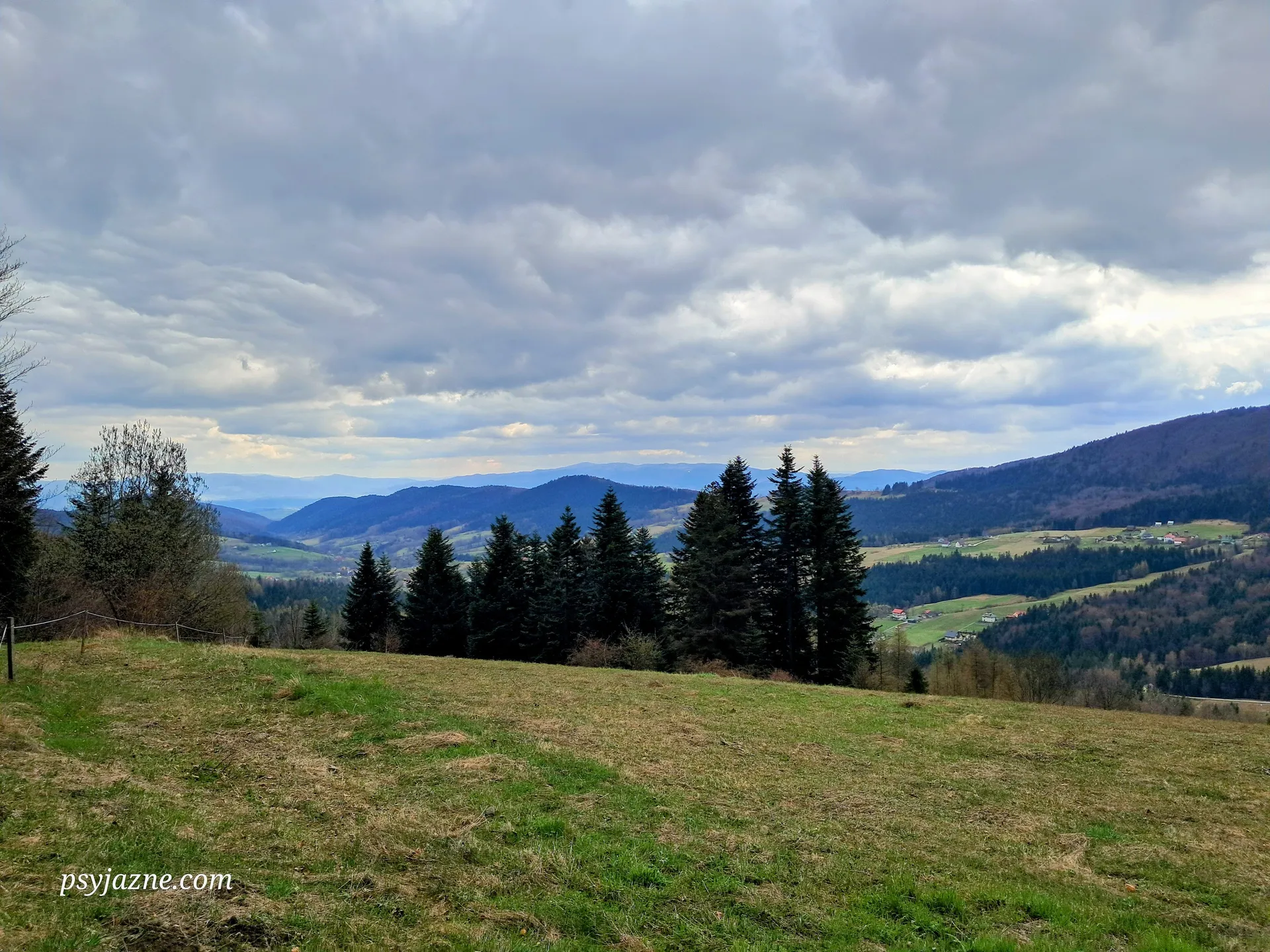 Panorama