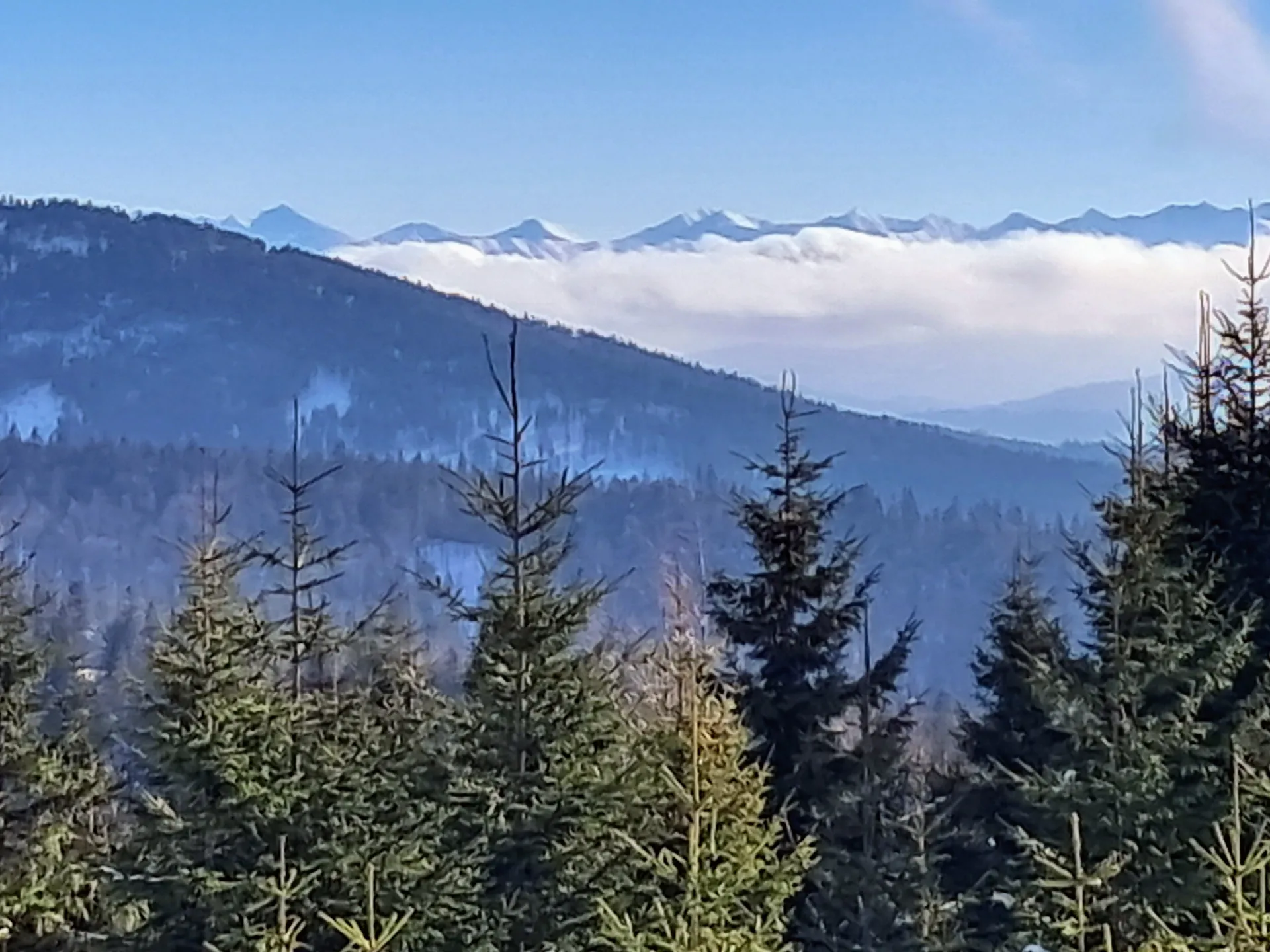 panorama