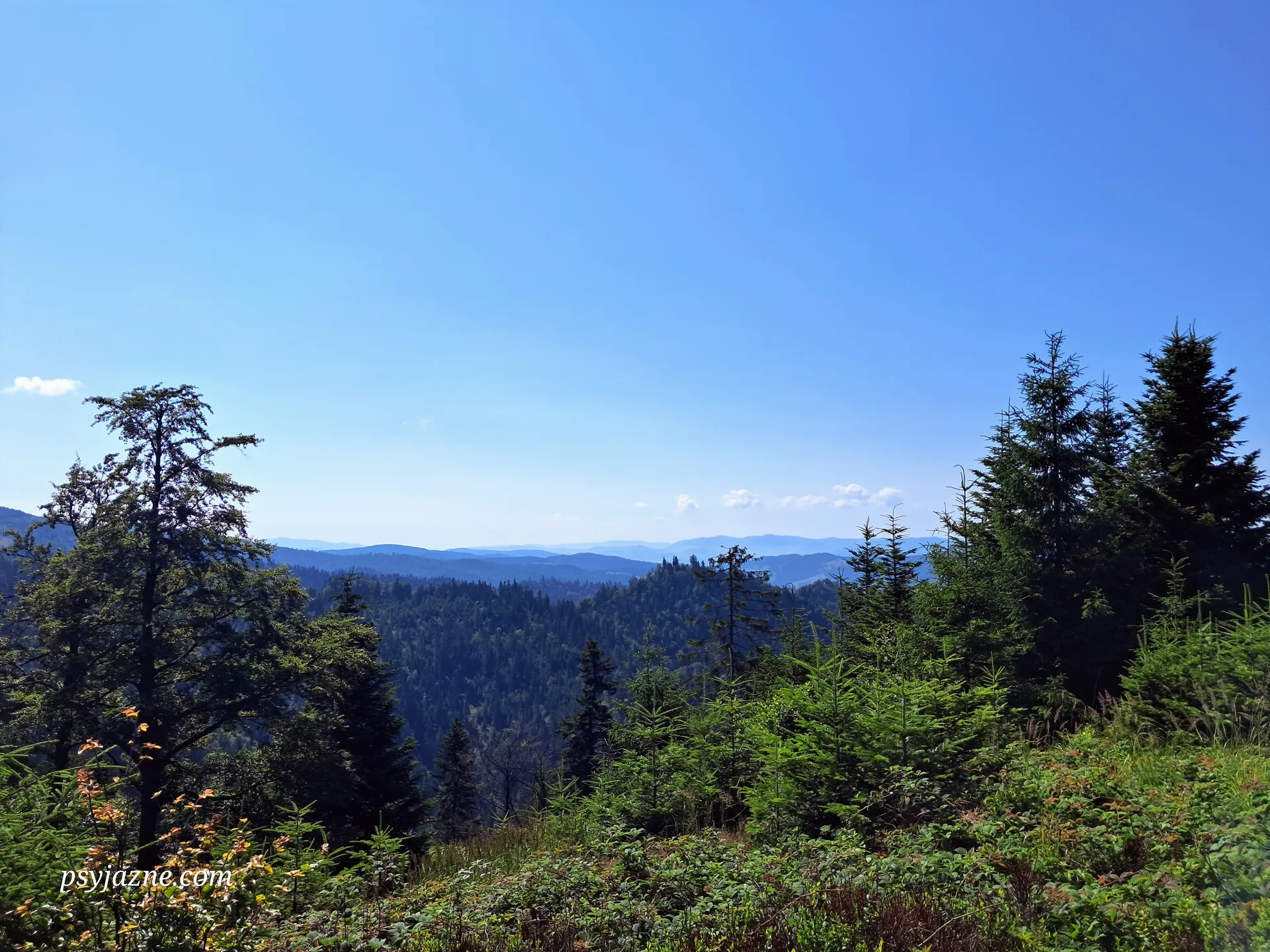 Panorama beskidzka