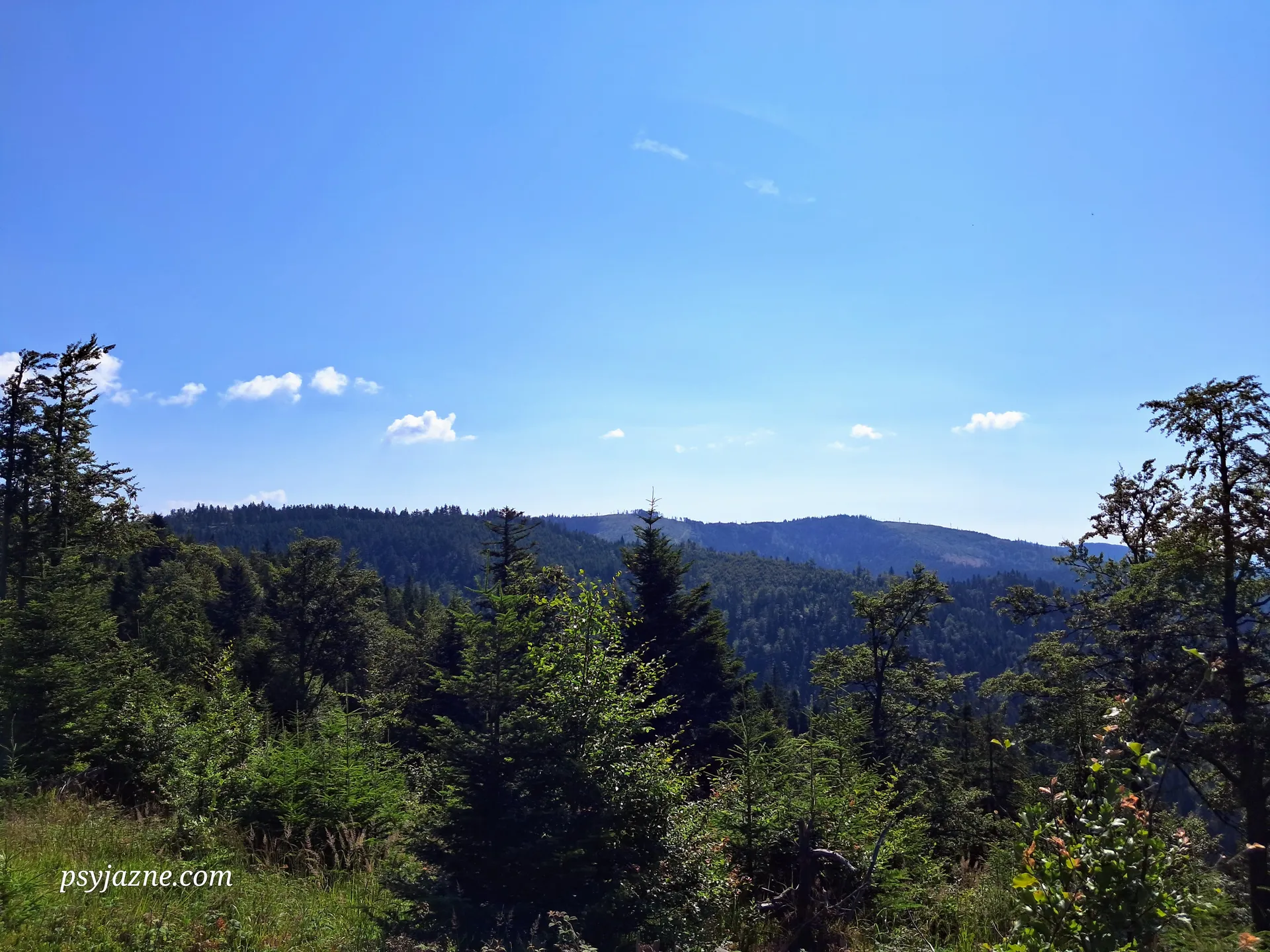 Panorama beskidzka