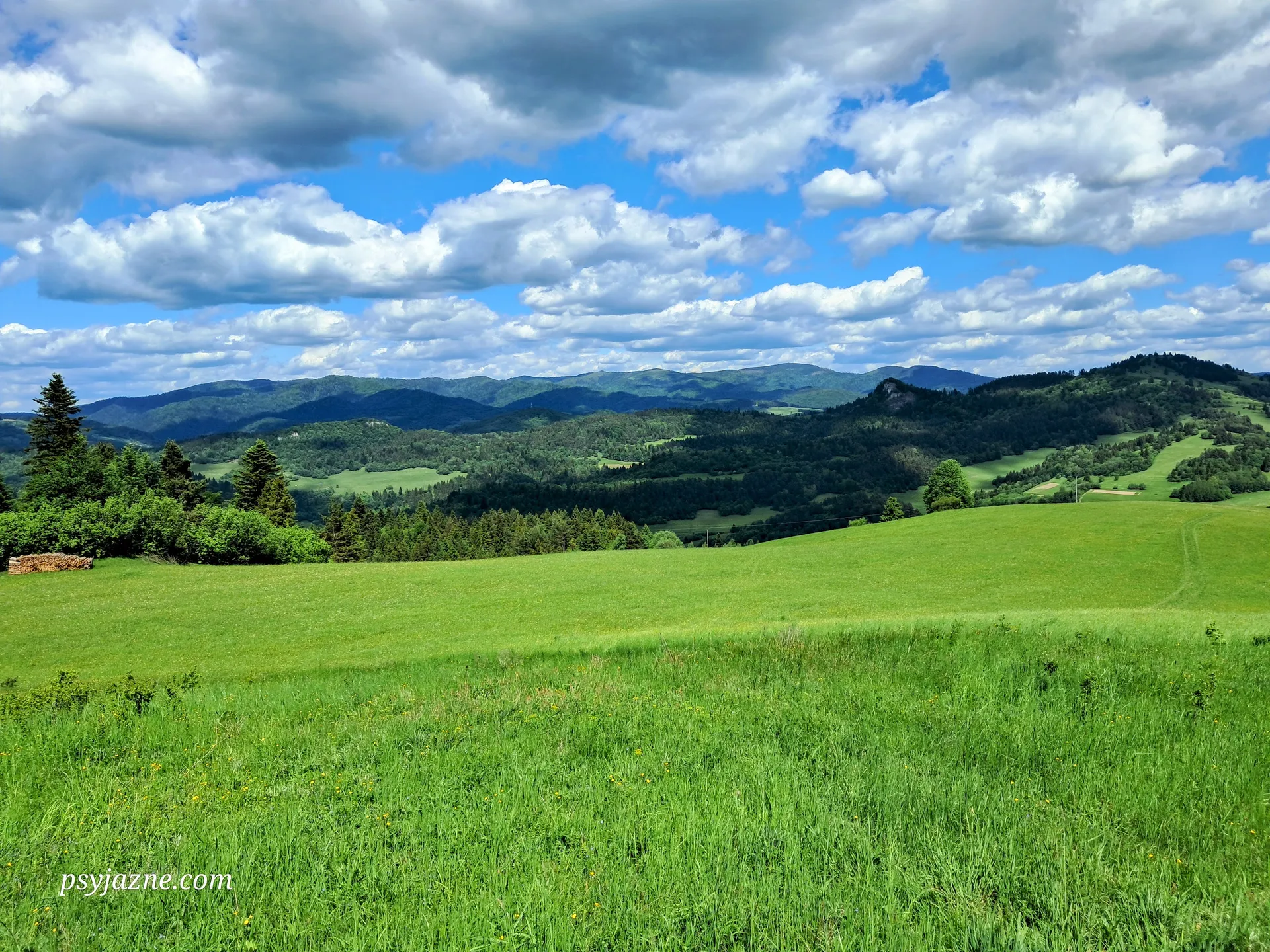 Panorama Beskid Sądecki