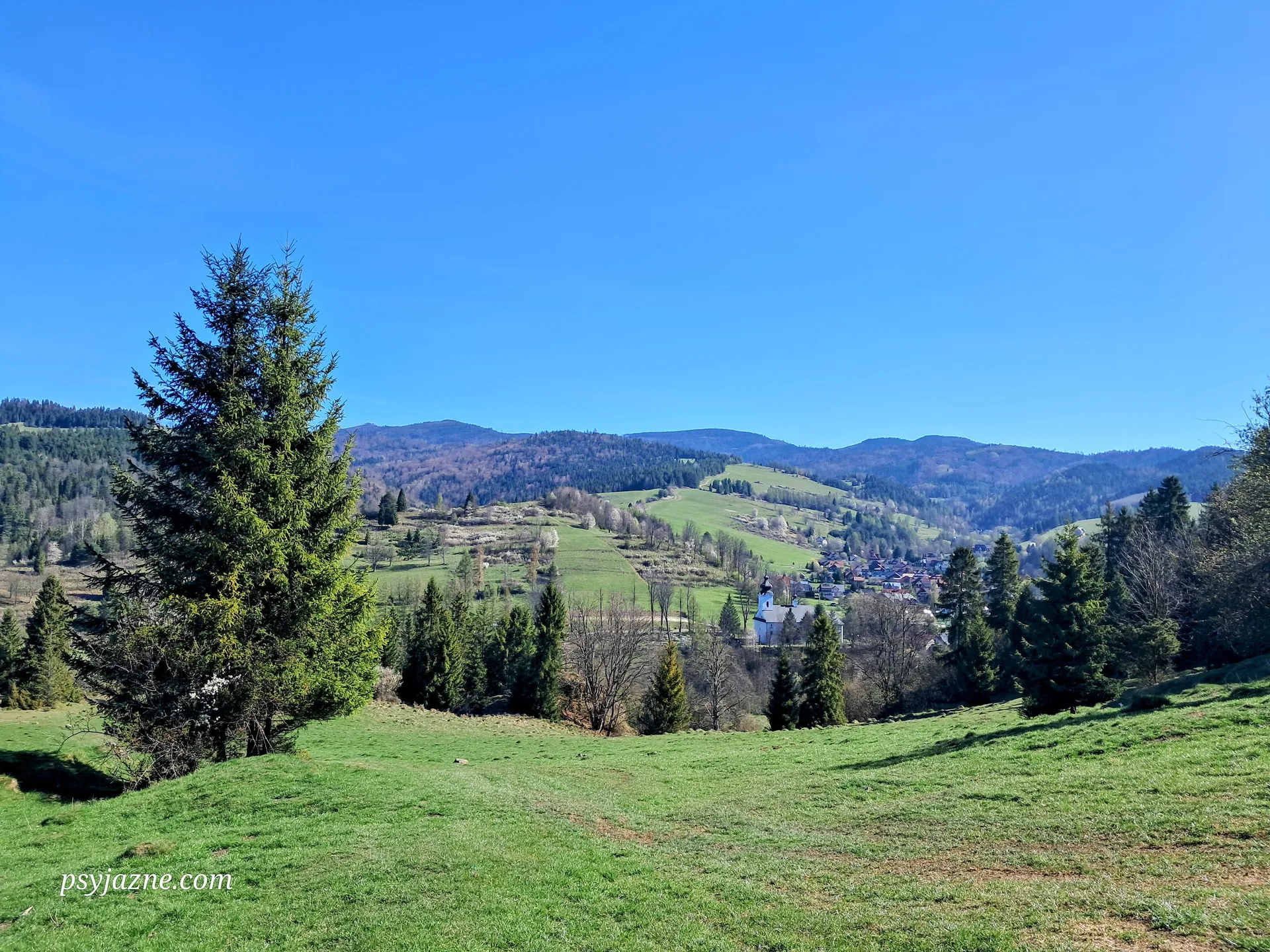 Panorama Beskidu Sądeckiego