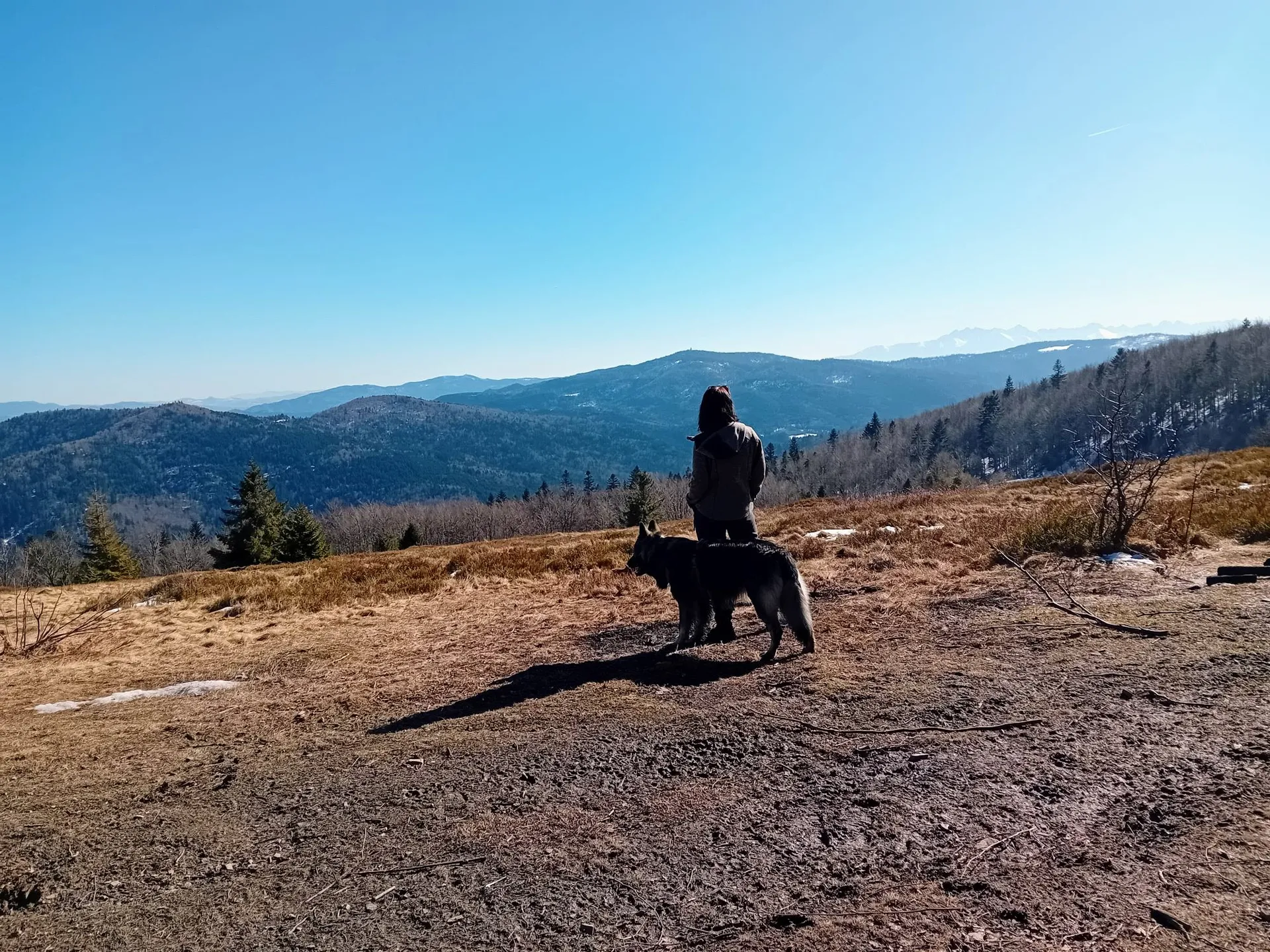 Beskid Wyspowy z psem
