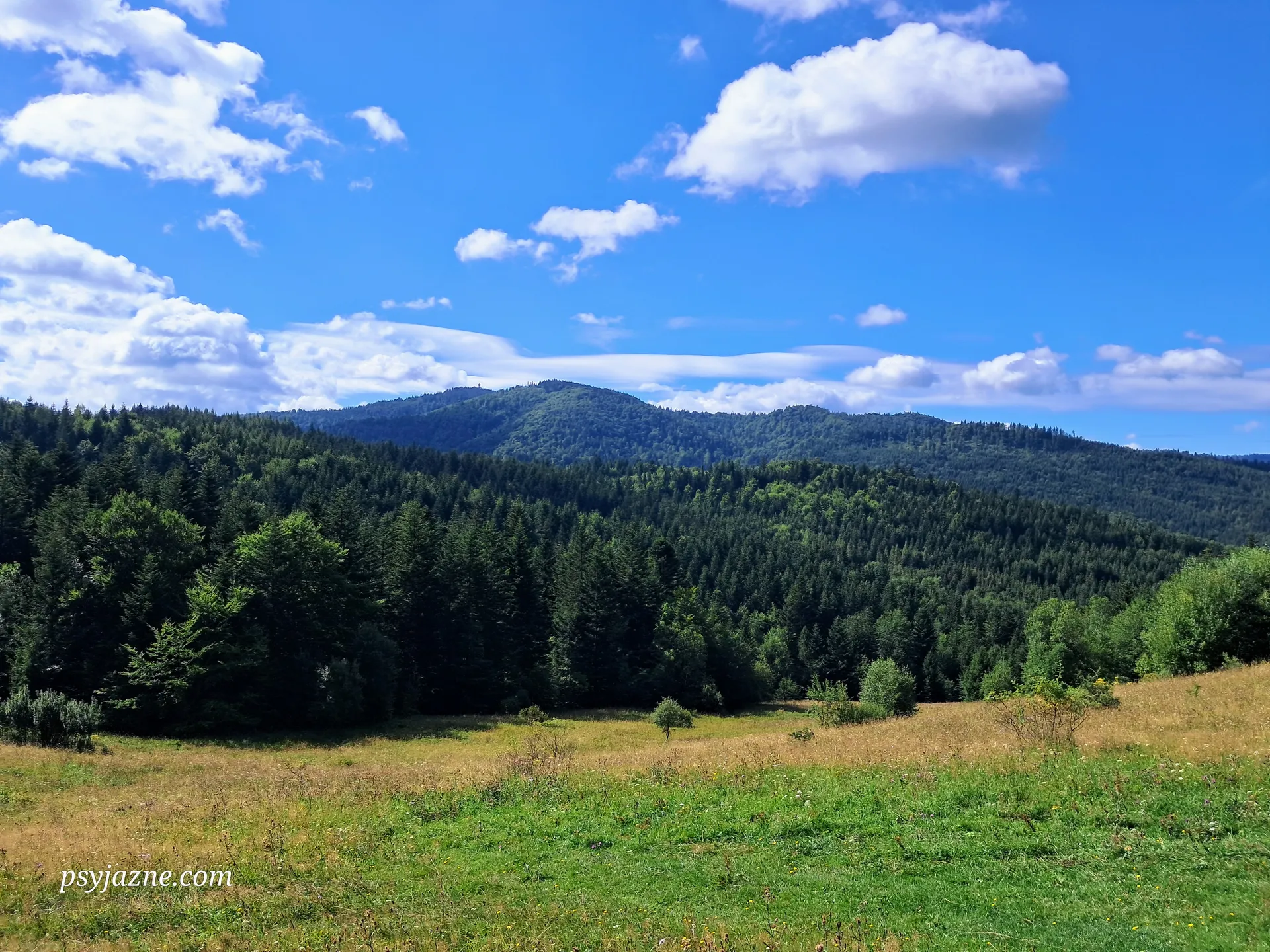 Panorama z Faronówek