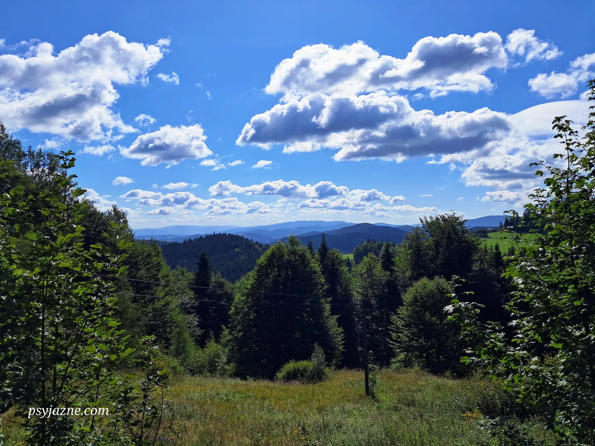 Panorama z Faronówek