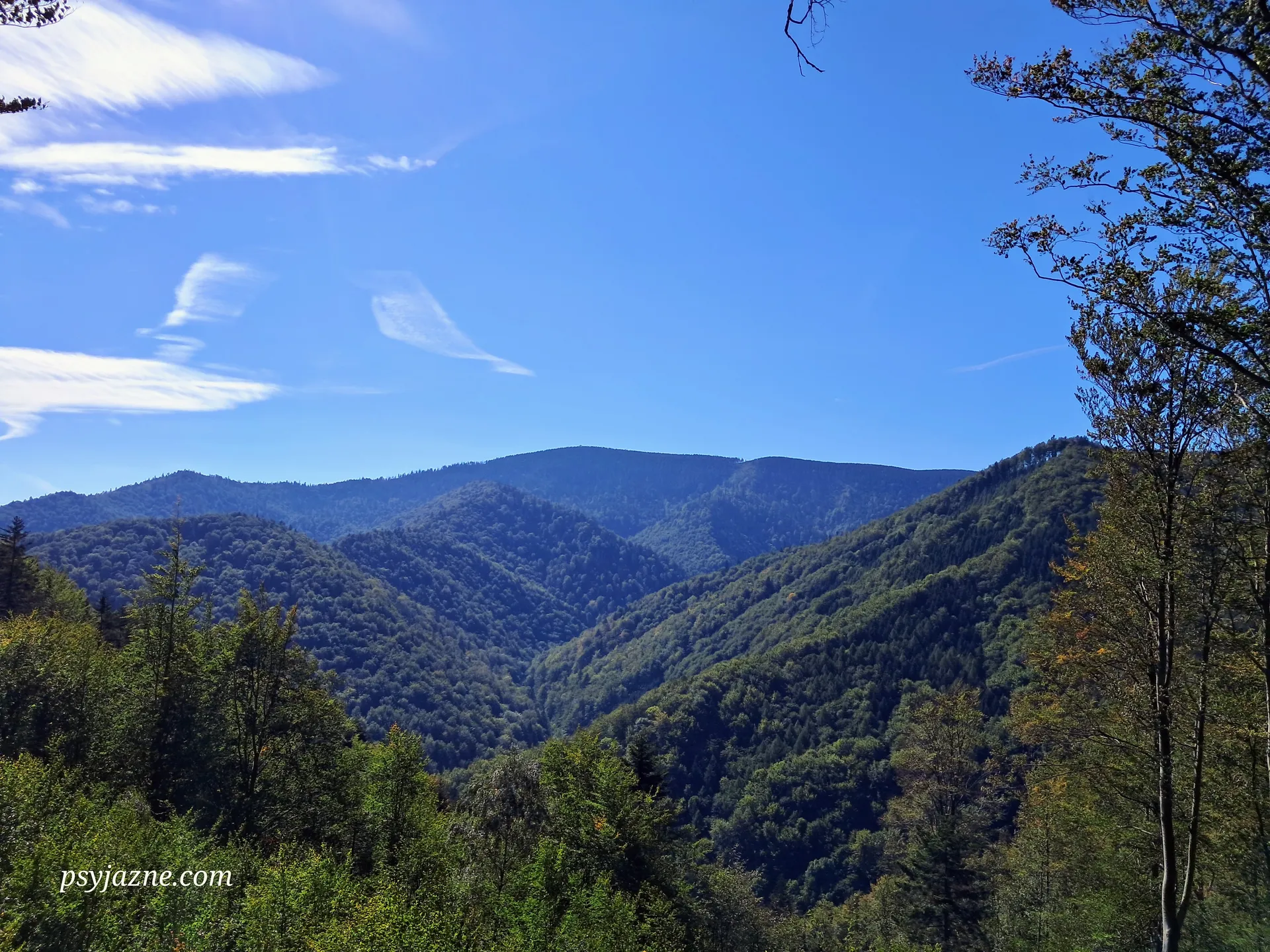 Widok na pasmo Radziejowej