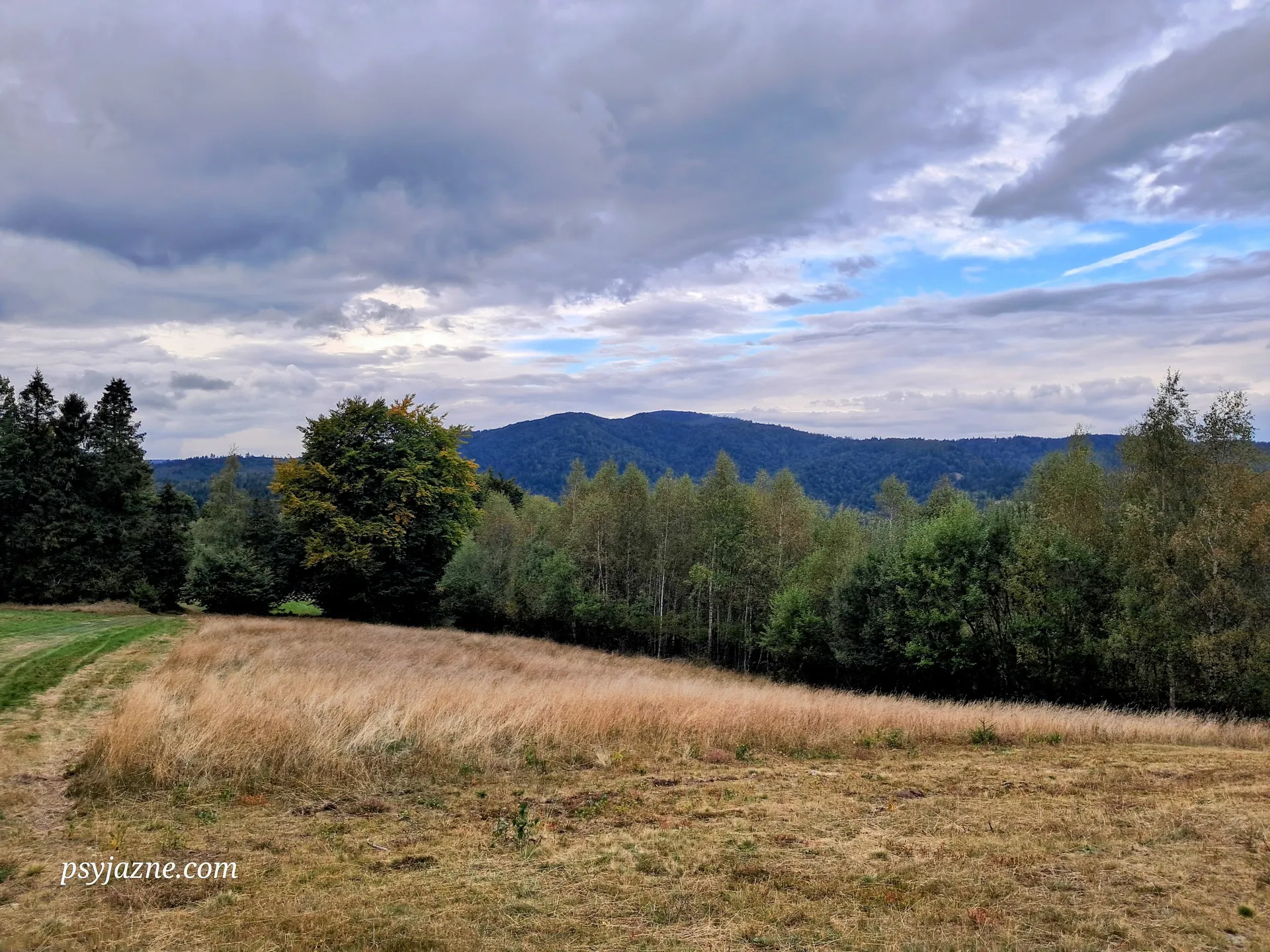 Widok na Pasmo Radziejowej
