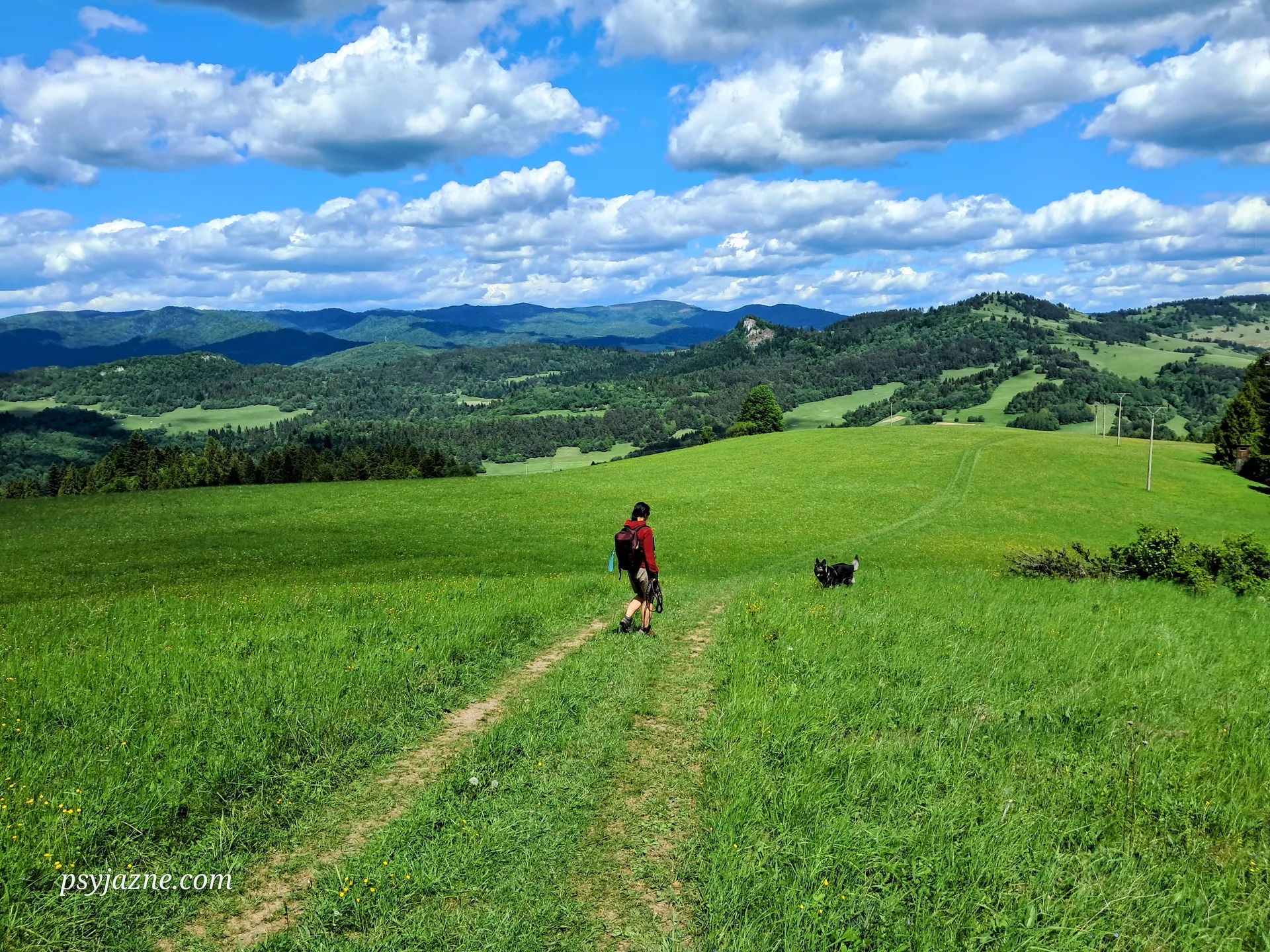 PIENAP, Pieniny z psem