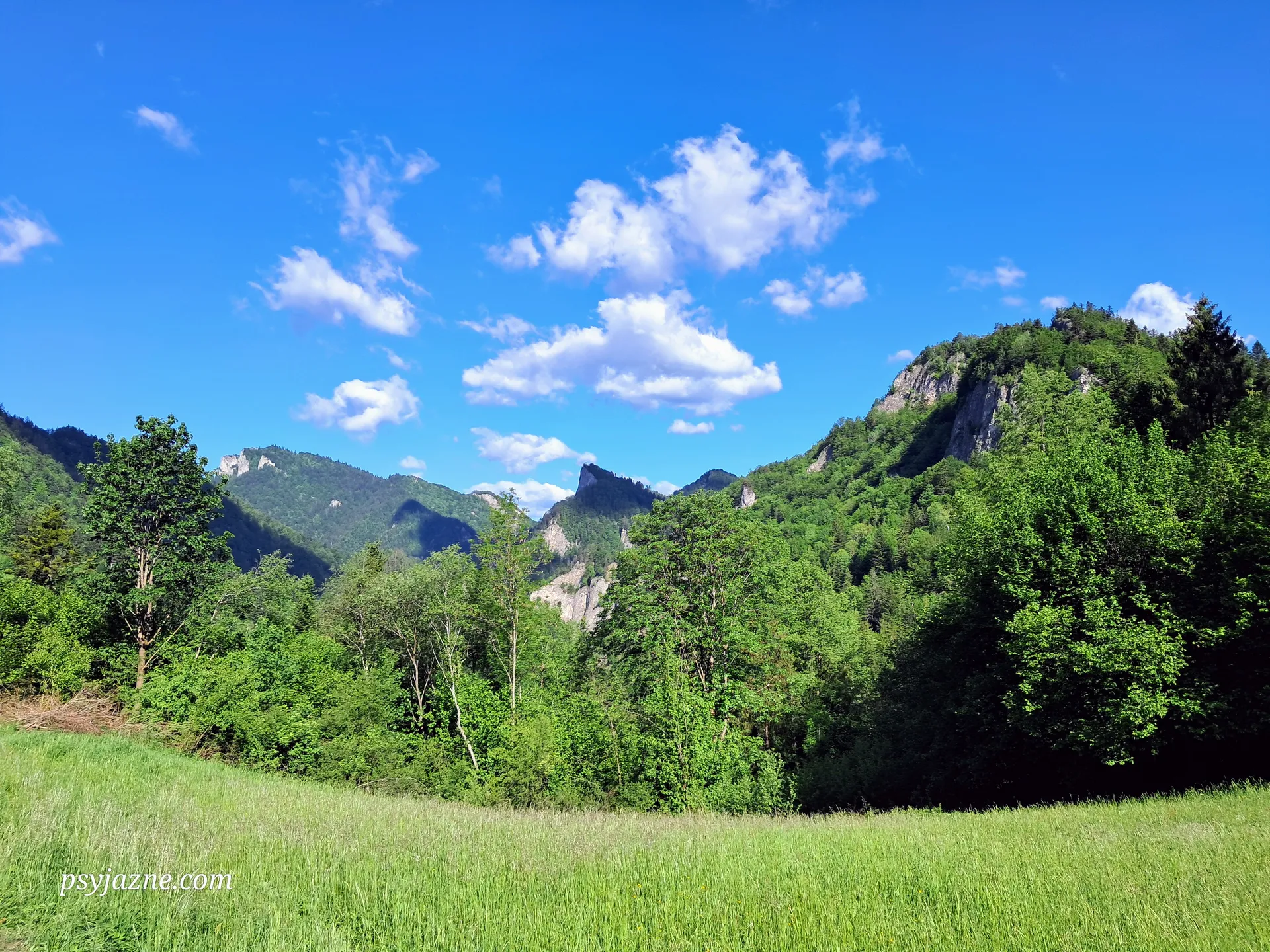 Pieniny Właściwe