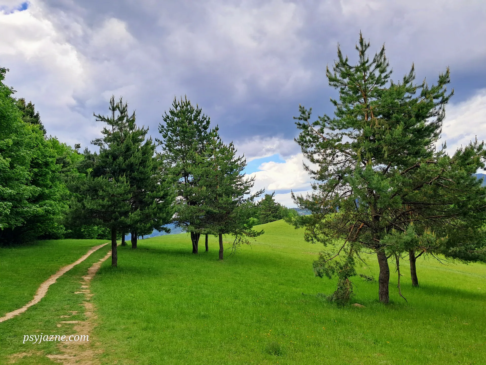 Pieniny
