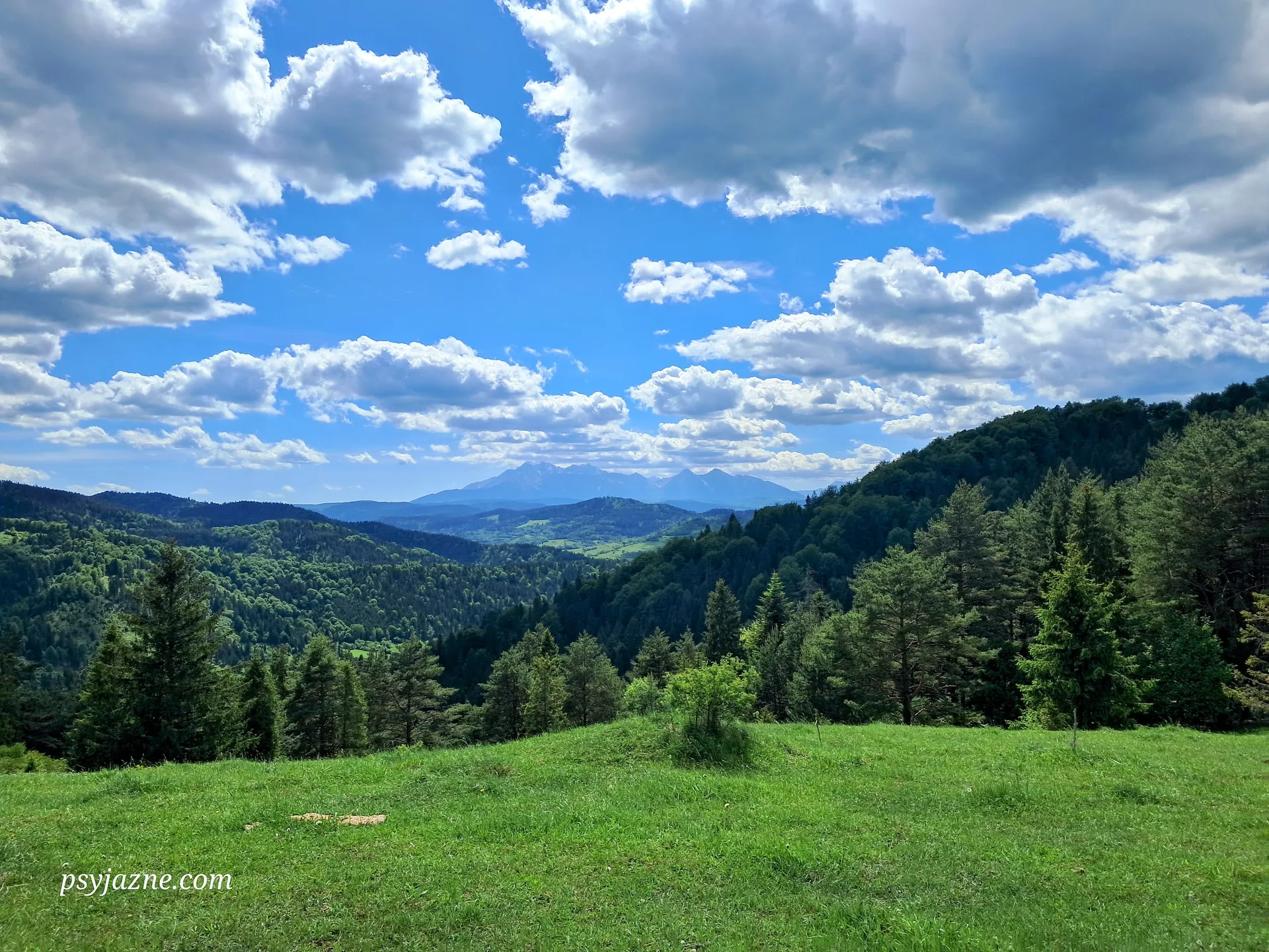 Pieniny widoki