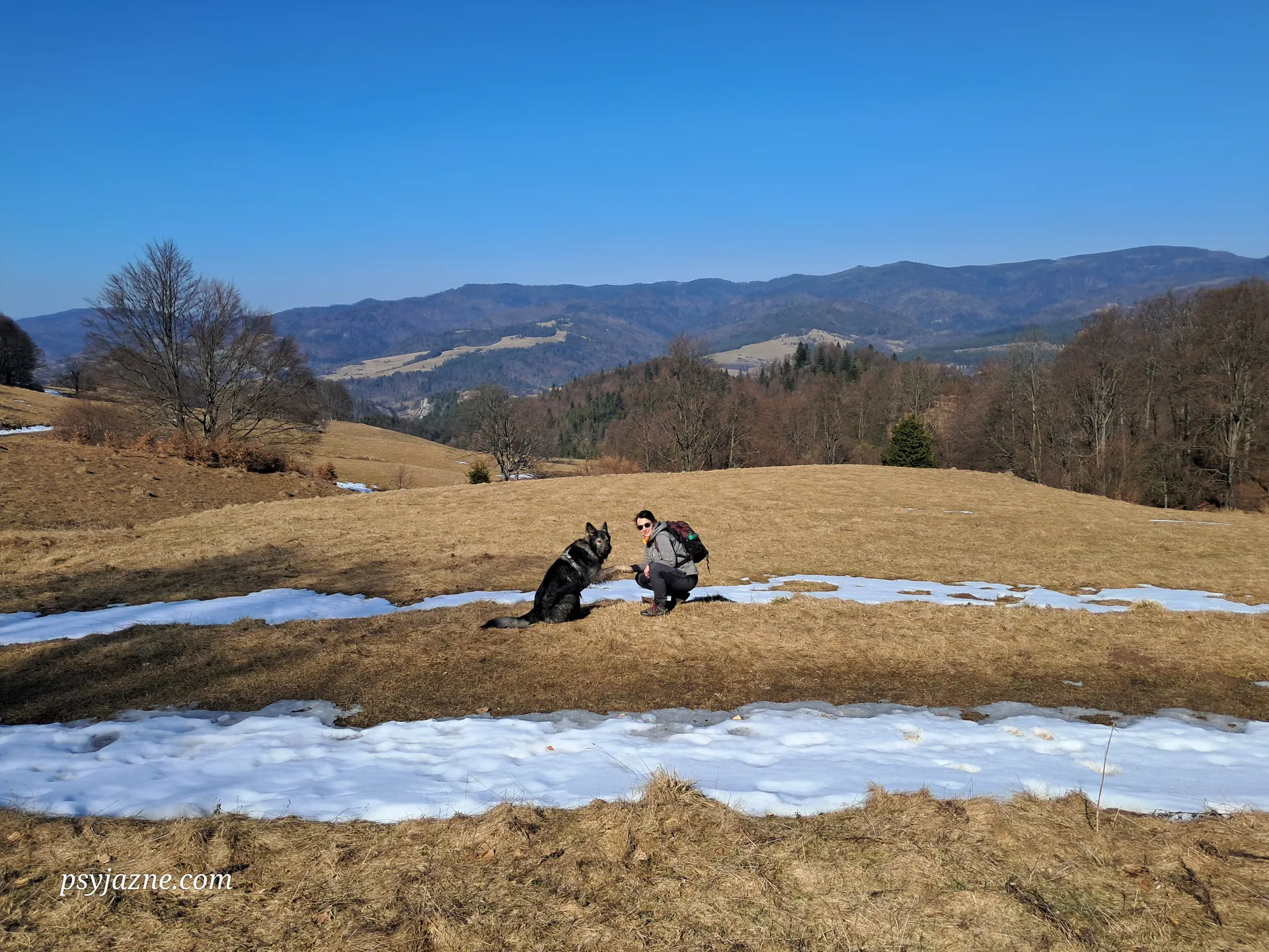 Pieniny z psem